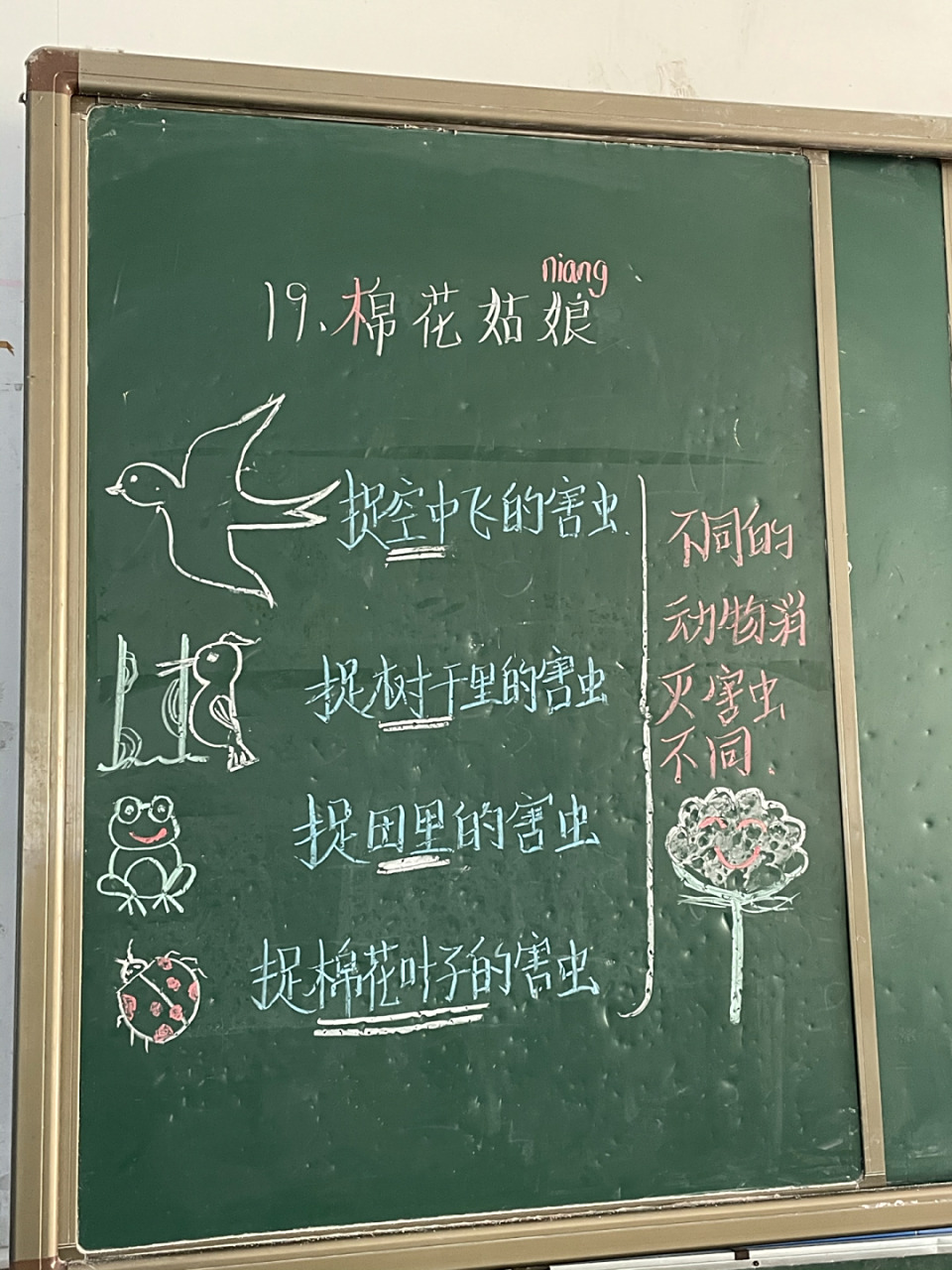 19《棉花姑娘》板书设计