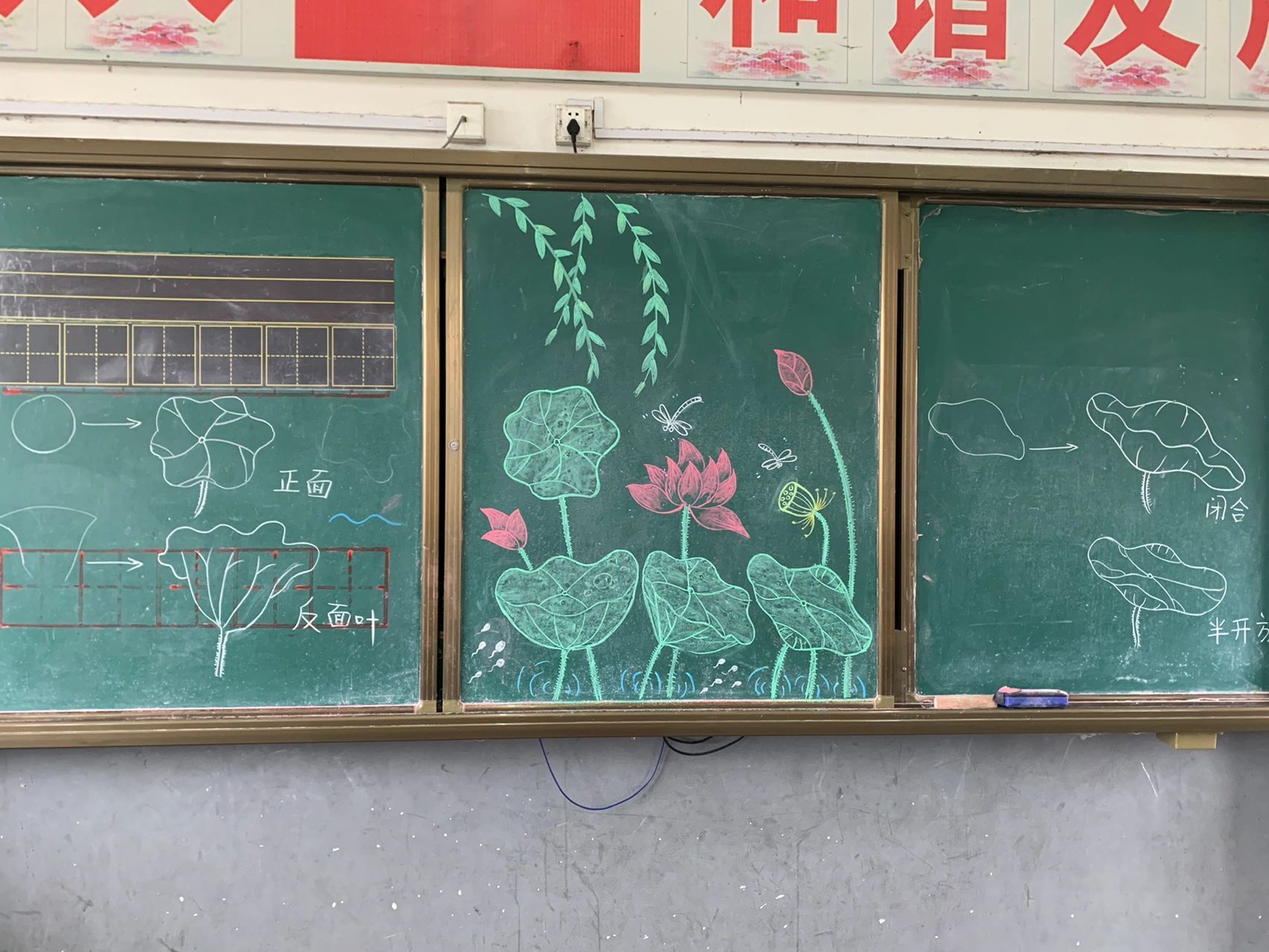荷叶荷花蜻蜓 儿童简笔画