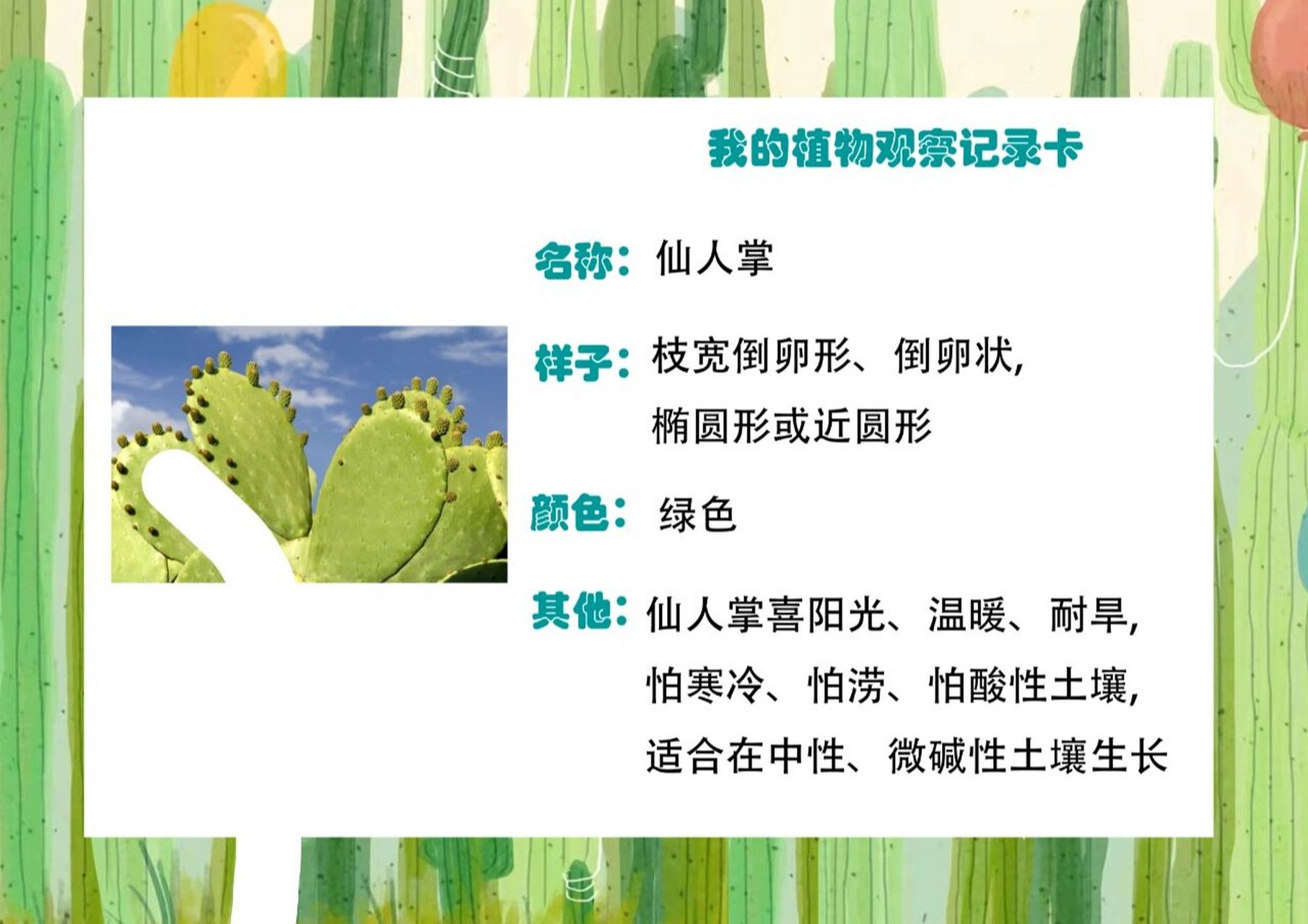 我爱绿植,植物朋友记录卡植物卡,仙人掌 电子版,手绘版手抄报等美术