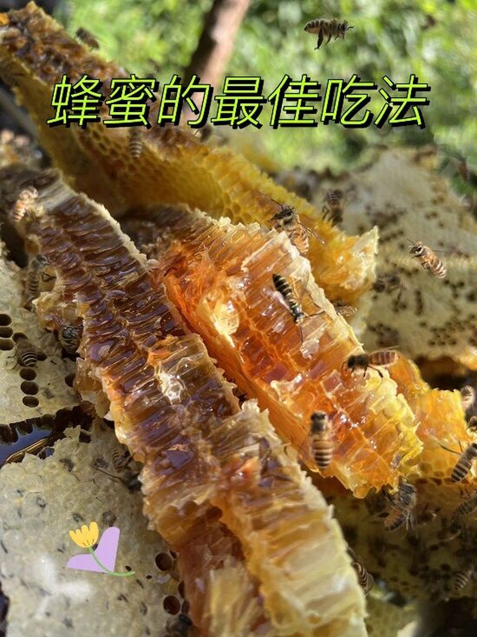 蜂蜜怎么吃效果好(蜂蜜怎么吃效果好,不起火)