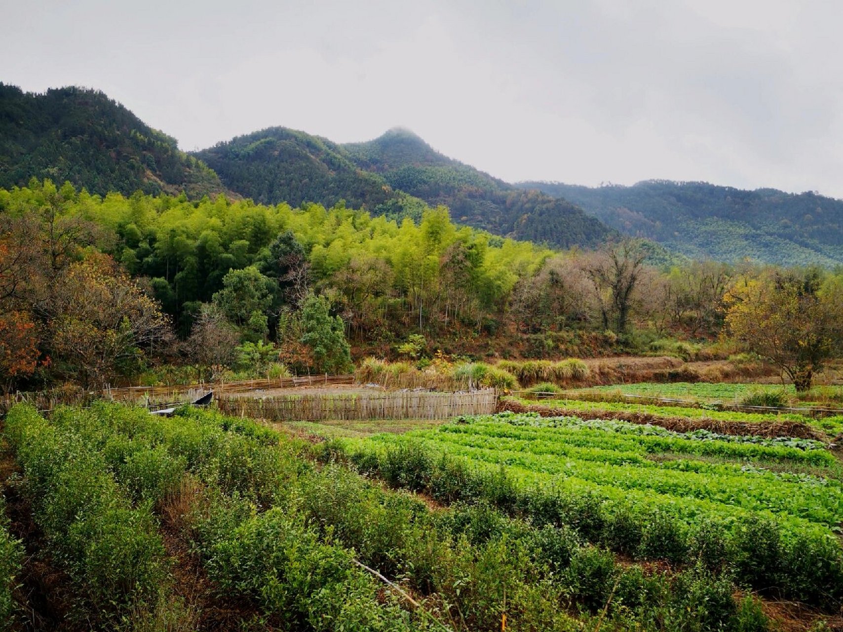 皖南秋·协里丨宏村旁边的宁静村庄 协里村,一个非常安静的皖南原生态