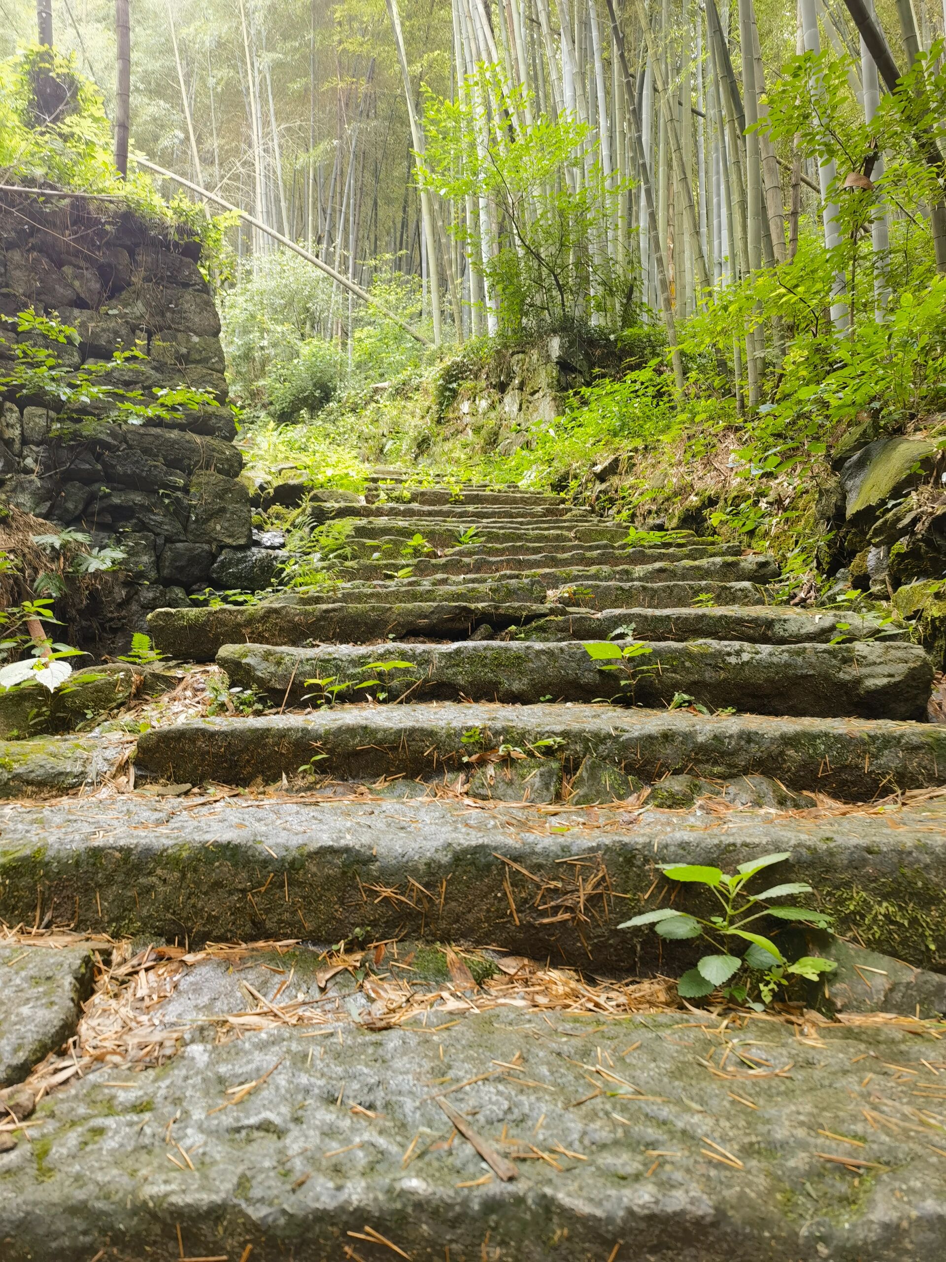 绍兴青板古道图片