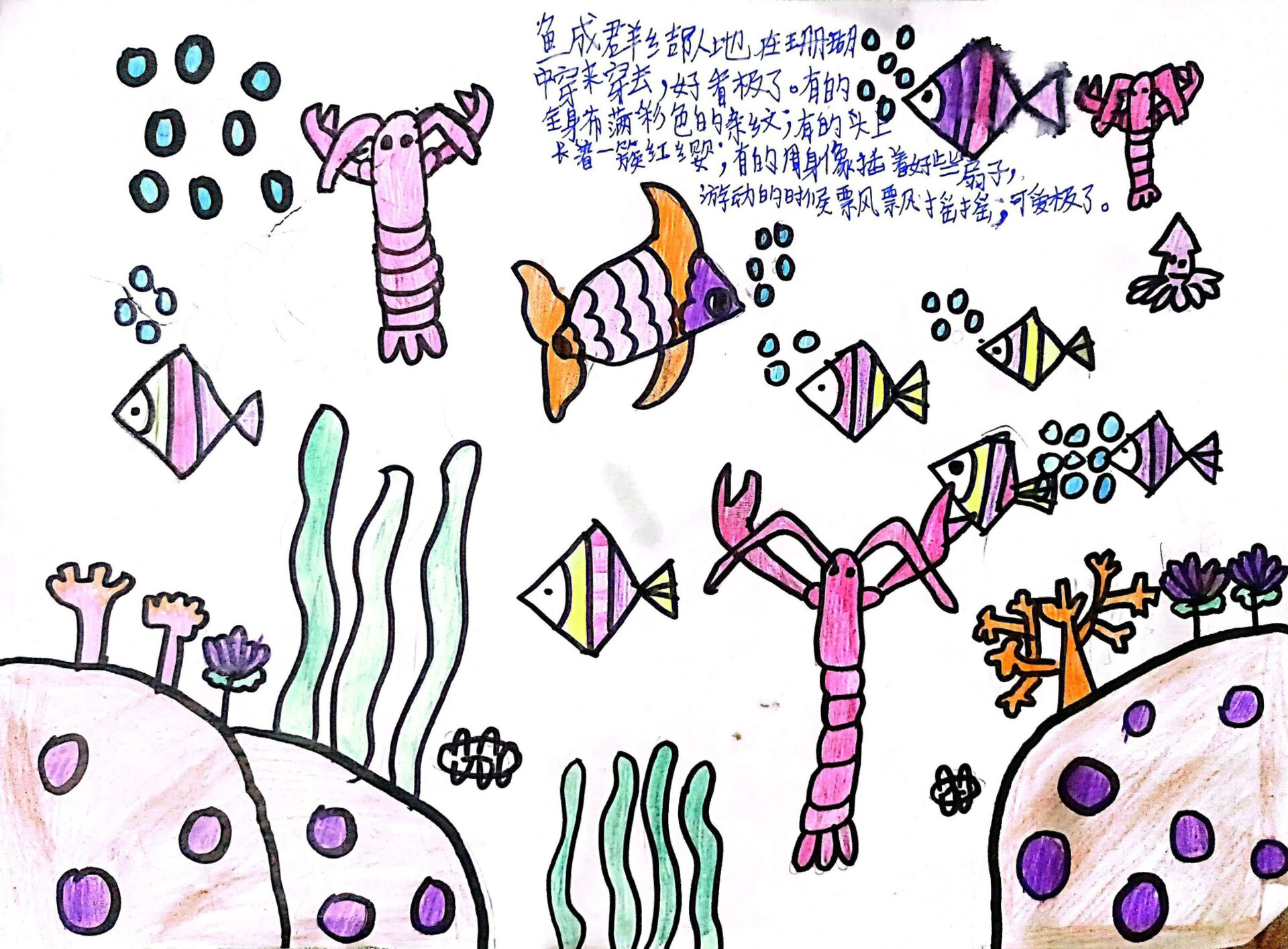 三上|18《富饶的西沙群岛》宣传画77介绍词 结合课后小练笔,可从4幅