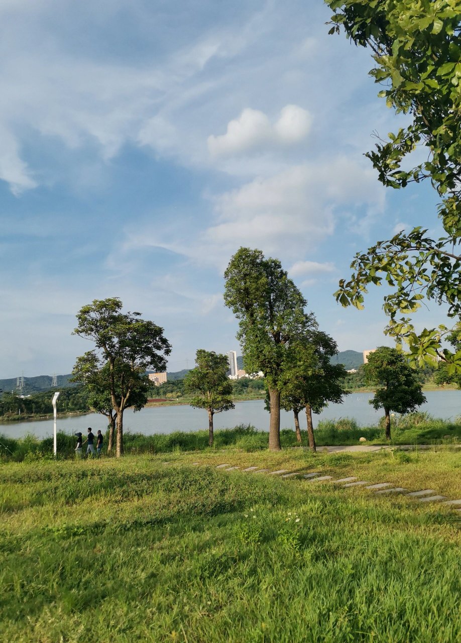 深圳石岩湖湿地公园图片