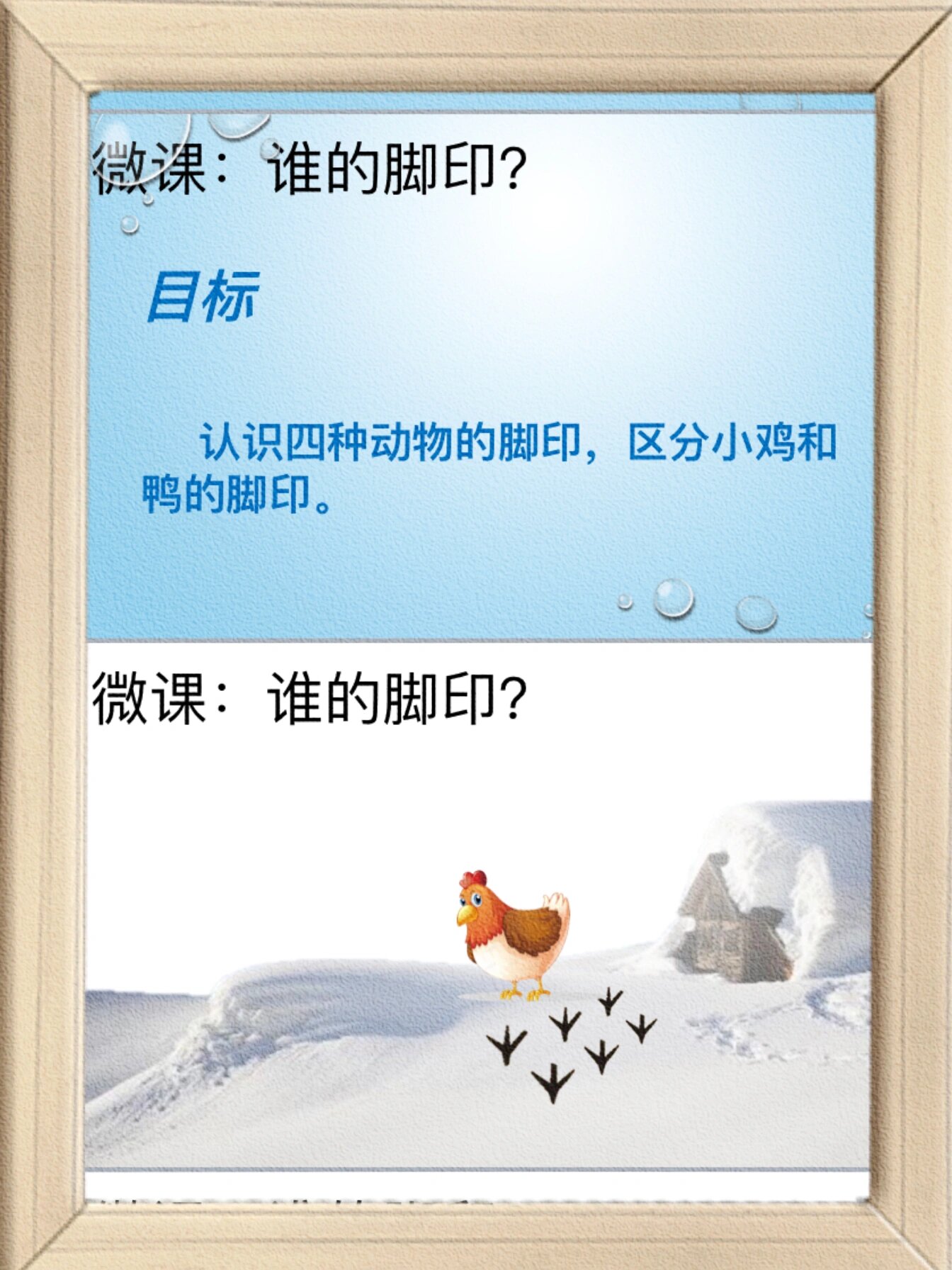 97一等奖公开课:《谁的脚印》93