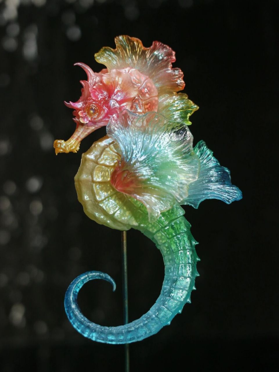 很幸运你看到了彩虹96 海马的颜色在海中是很多变的,而我最喜欢的就