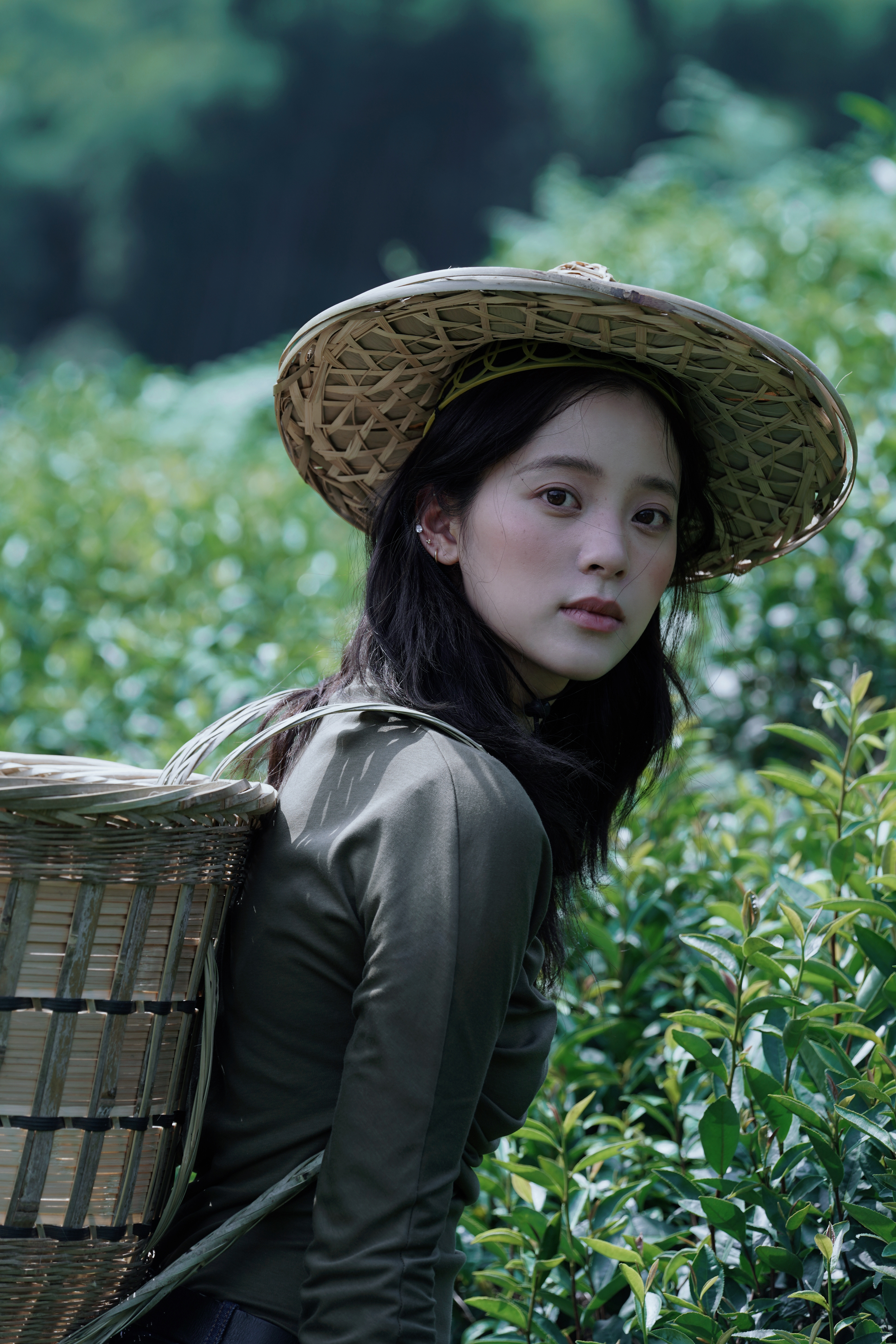 采茶叶的小姑娘歐陽娜娜 小背篓,晃悠悠,斗笠一戴; 没入半腰的茶树,将