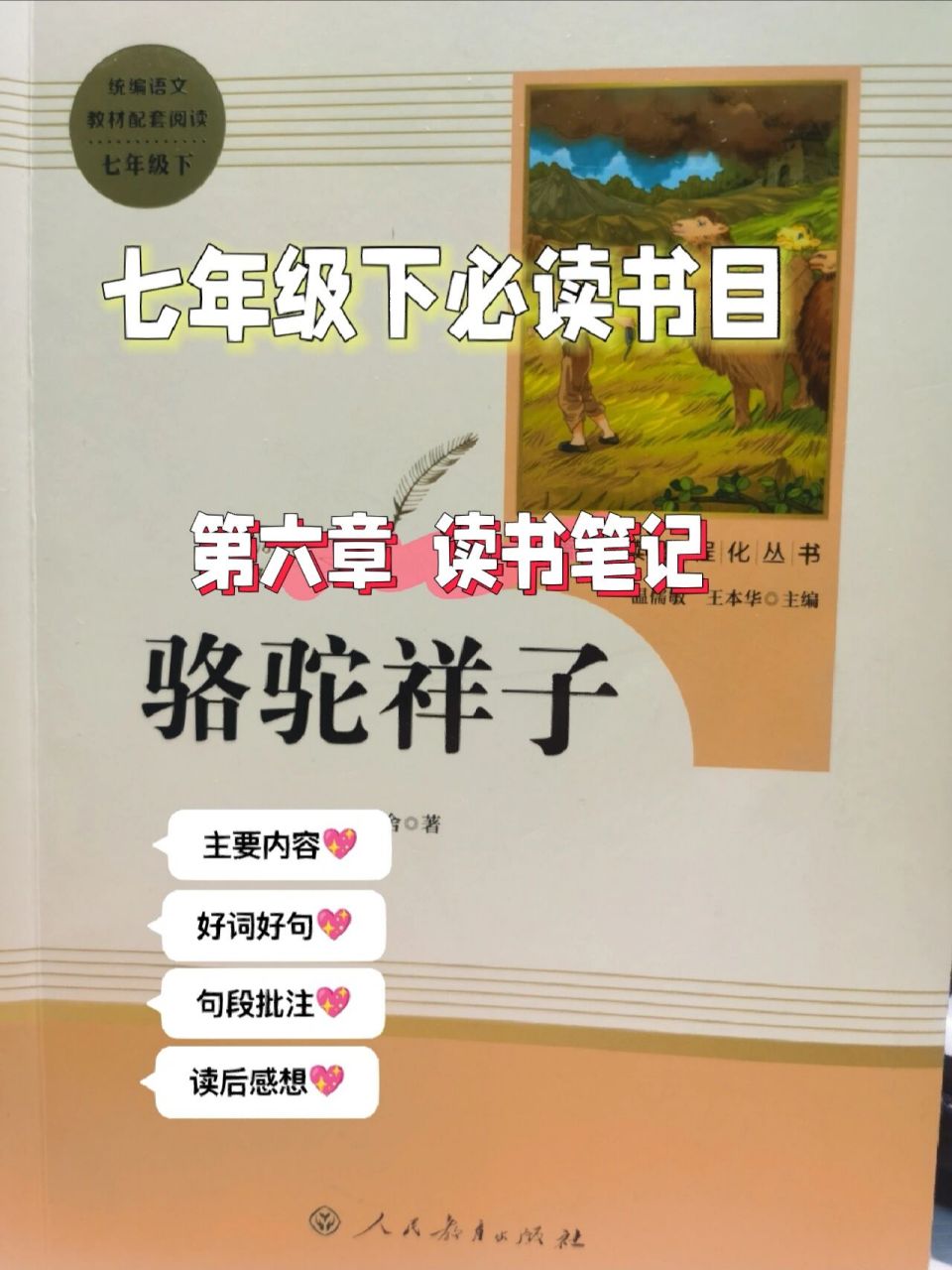 骆驼祥子 第六章 初一下必读书目《骆驼祥子》第六章读书笔记