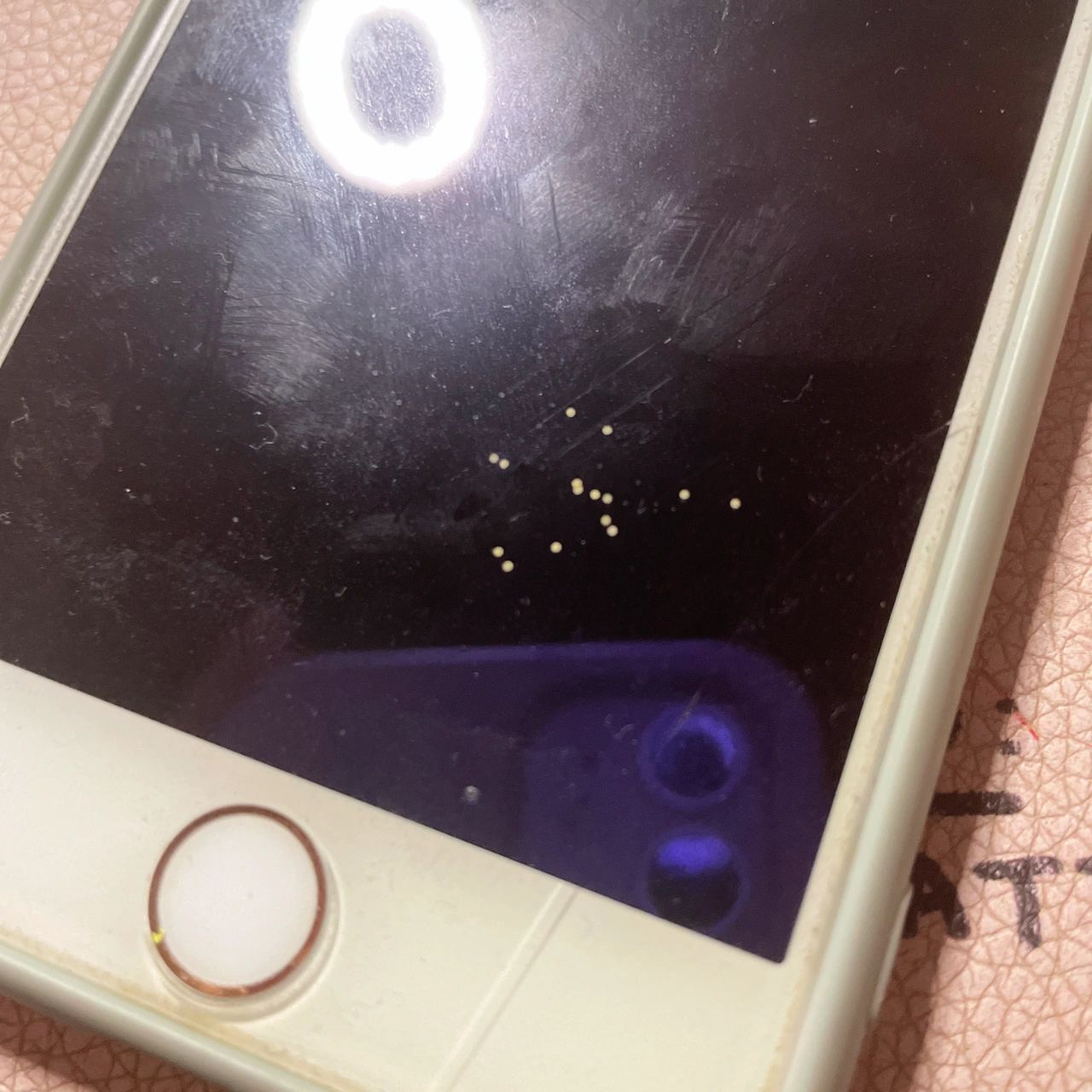 蚊子居然在我手机上拉屎了