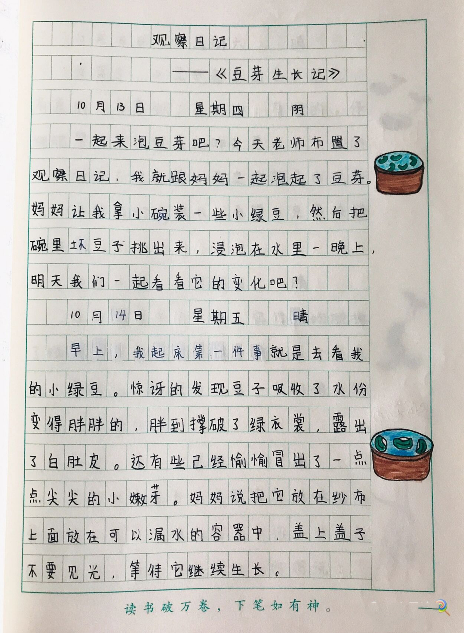 四上观察日记《豆芽生长记》🌱