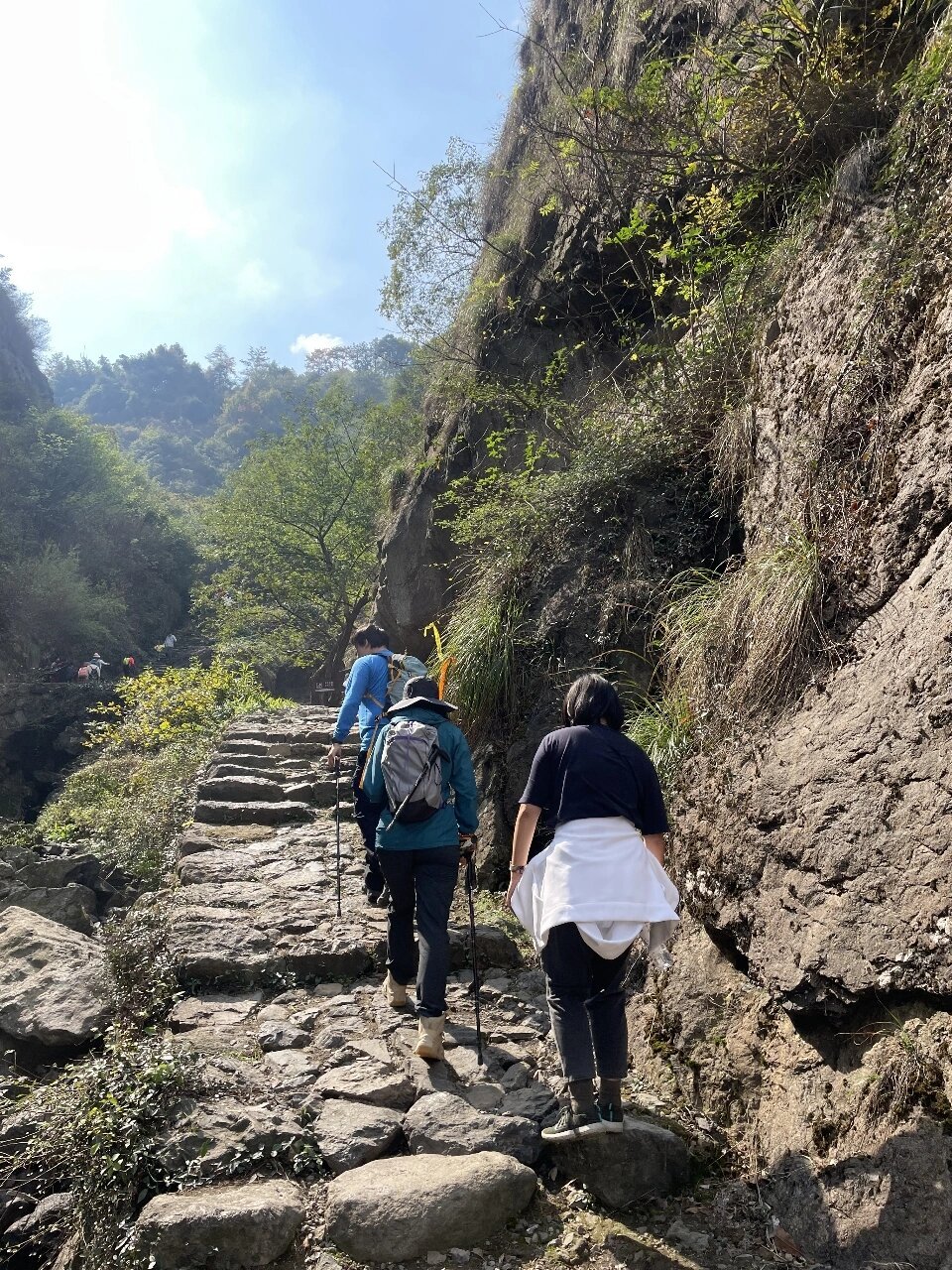 雪窦岭香榧古道图片