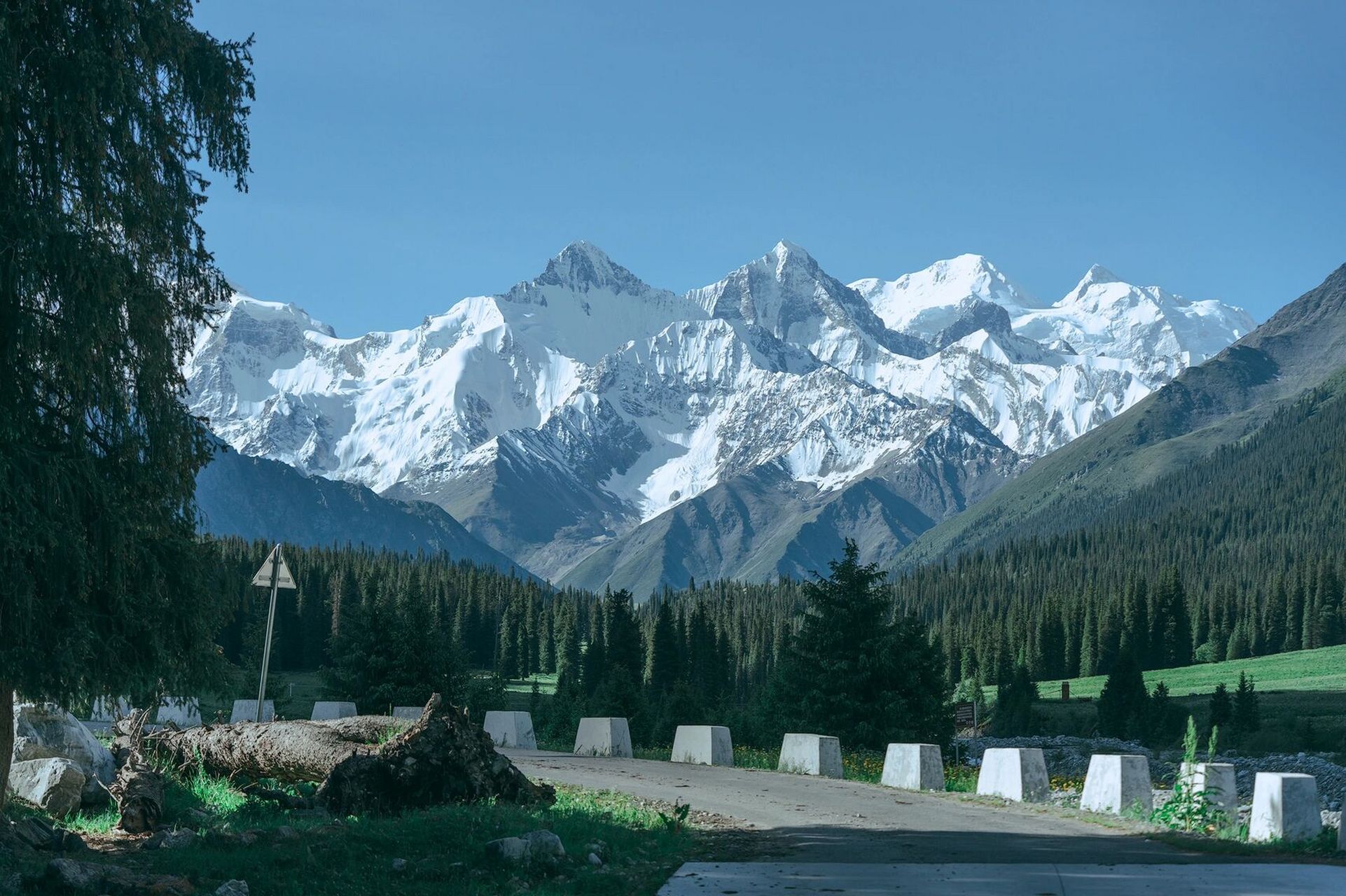 新疆最美雪山-夏塔木扎尔特雪山攻略   每年的5-6月,鲜花盛开之际一定