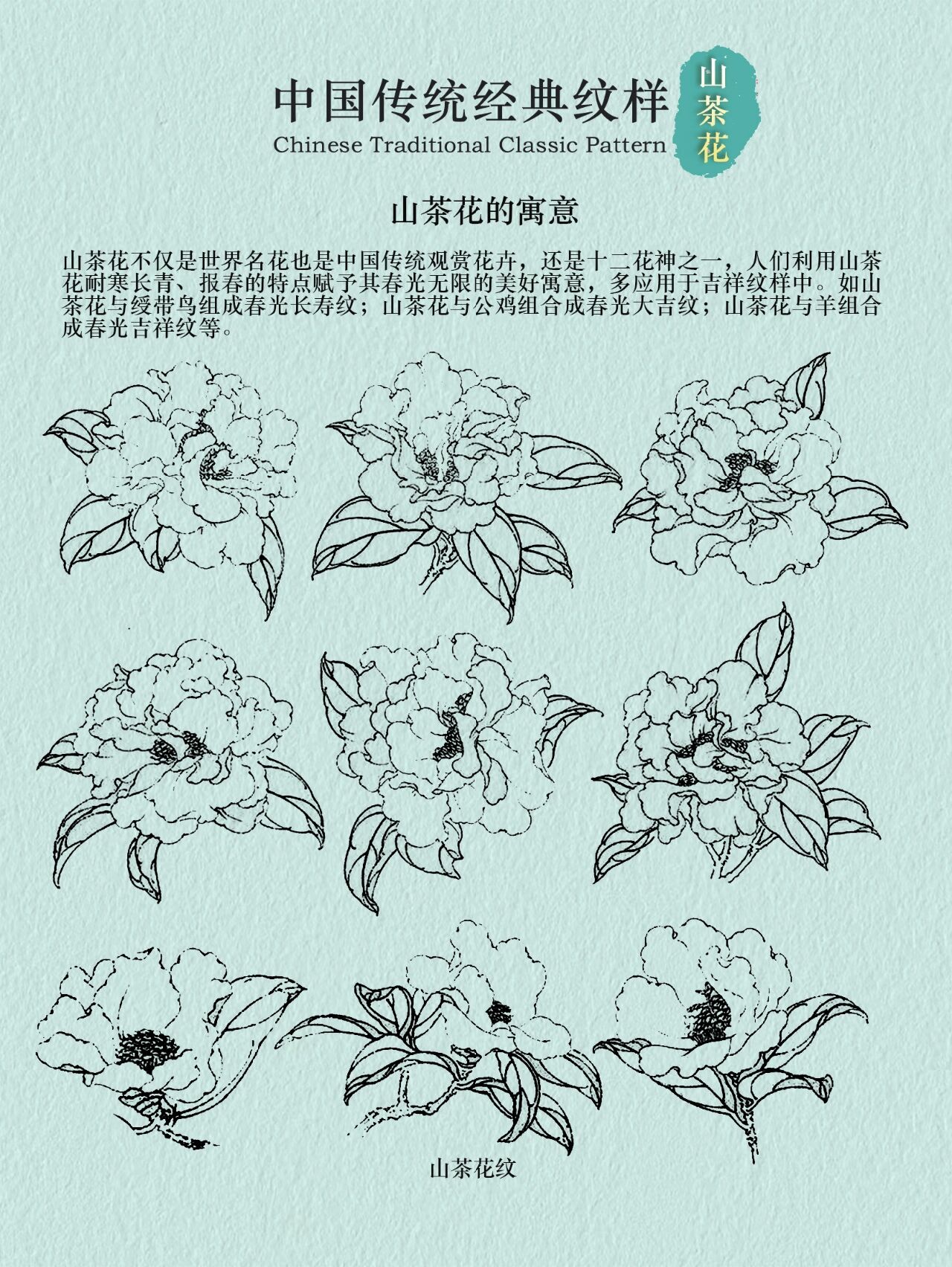 茶花样子的描写图片