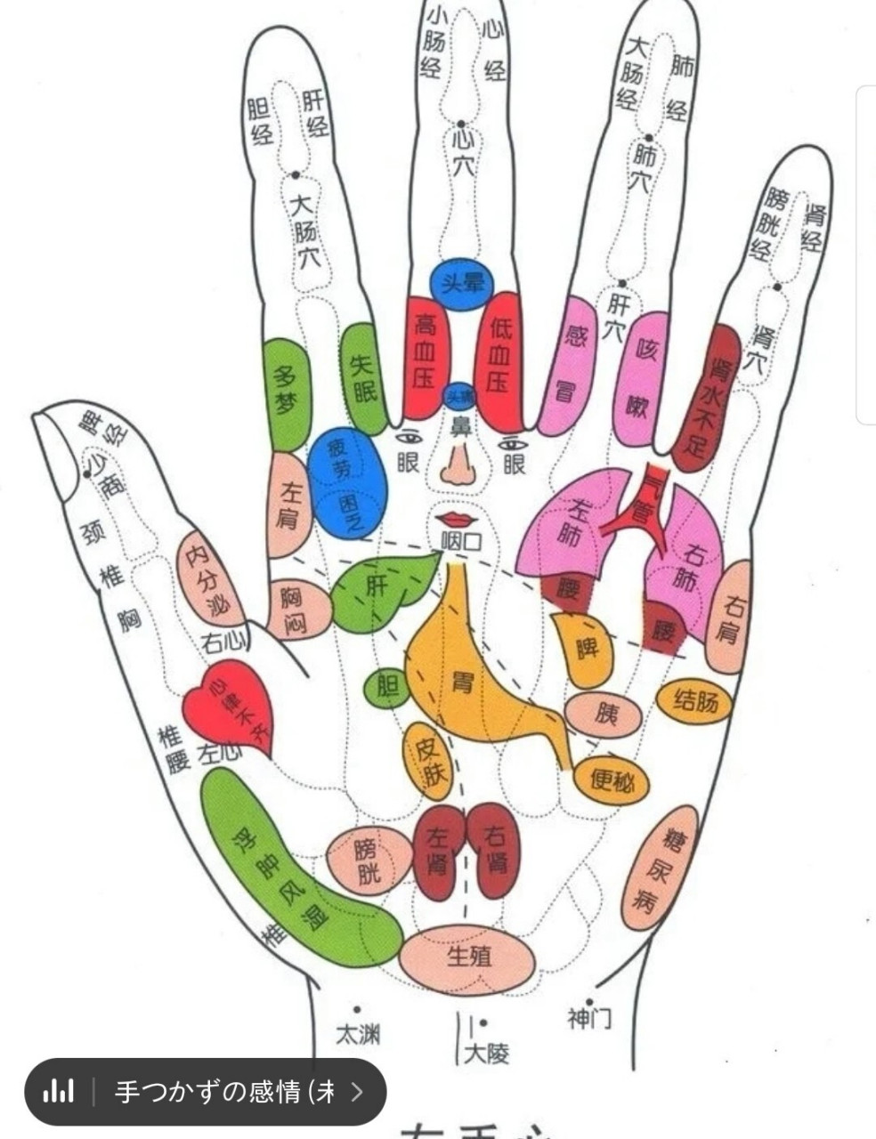 手诊入门口诀(重要),建议收藏 1 母指为头食指肝, 中指为心环指肾