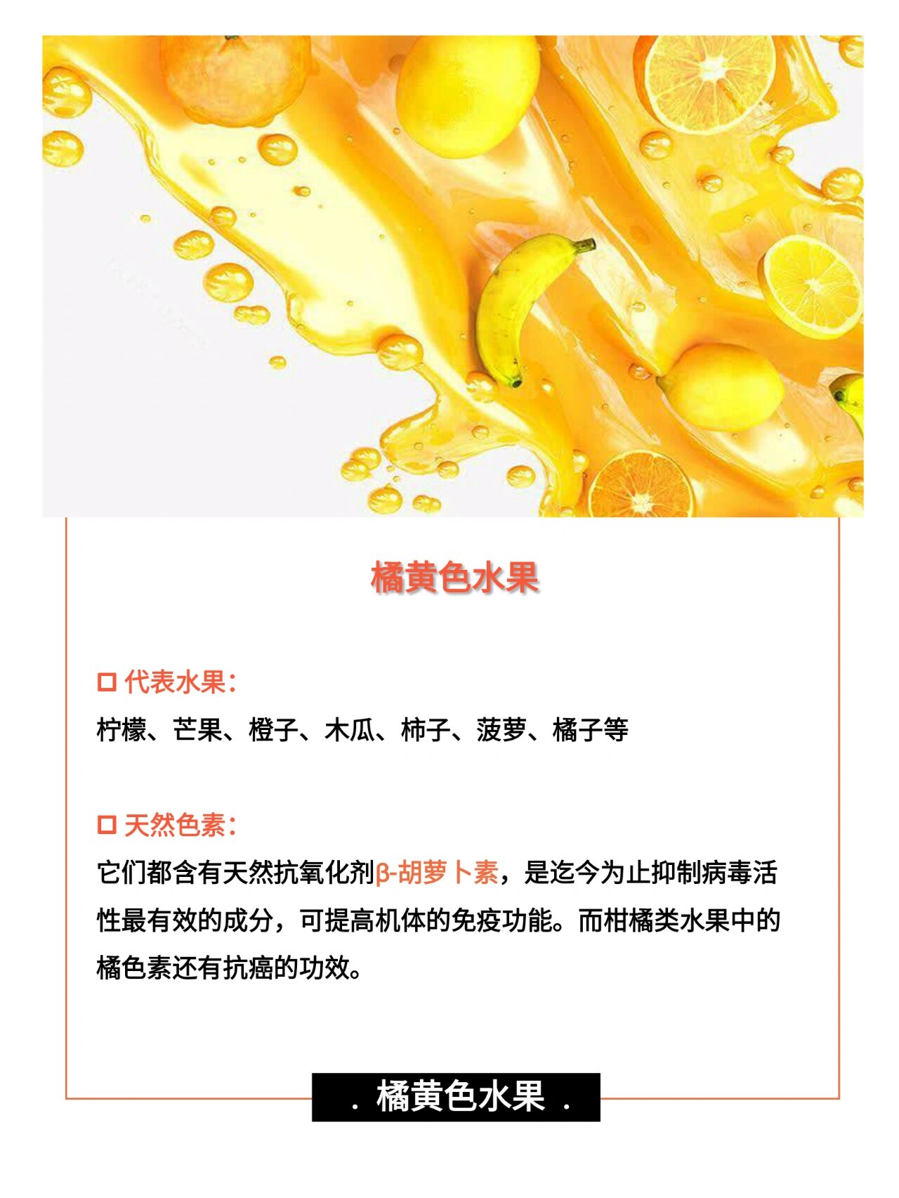 鱼翅瓜的功效与作用图片