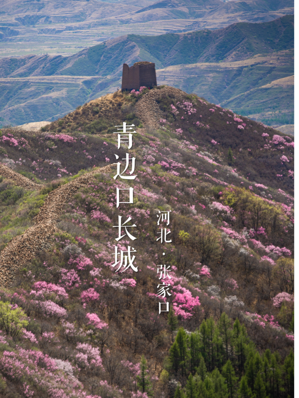 "边塞花园"青边口 | 长城巡礼系列 6715简介:青边口长城位于宣化