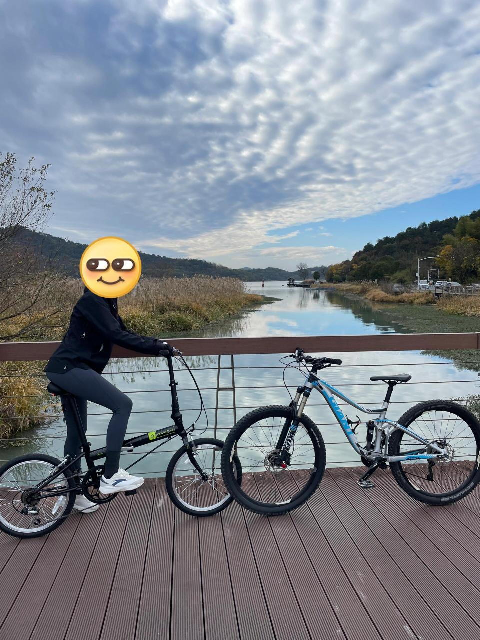 大行dahan d6 友好的女生入门折叠车 在94上很少能刷到大行d6的帖子
