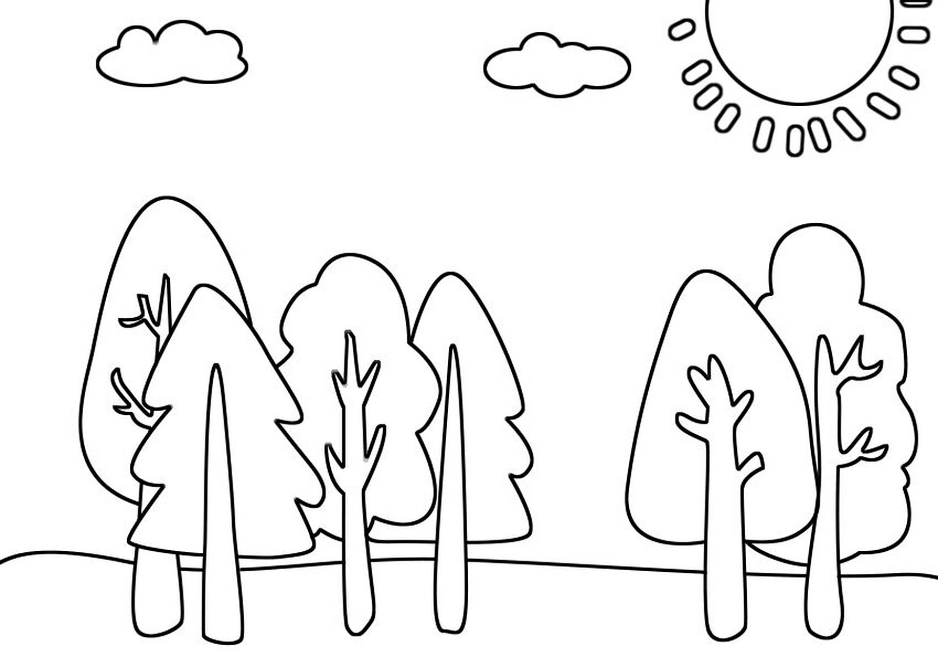 儿童手绘简笔画|大树 春天到了,我们一起画大树吧,简单又好看