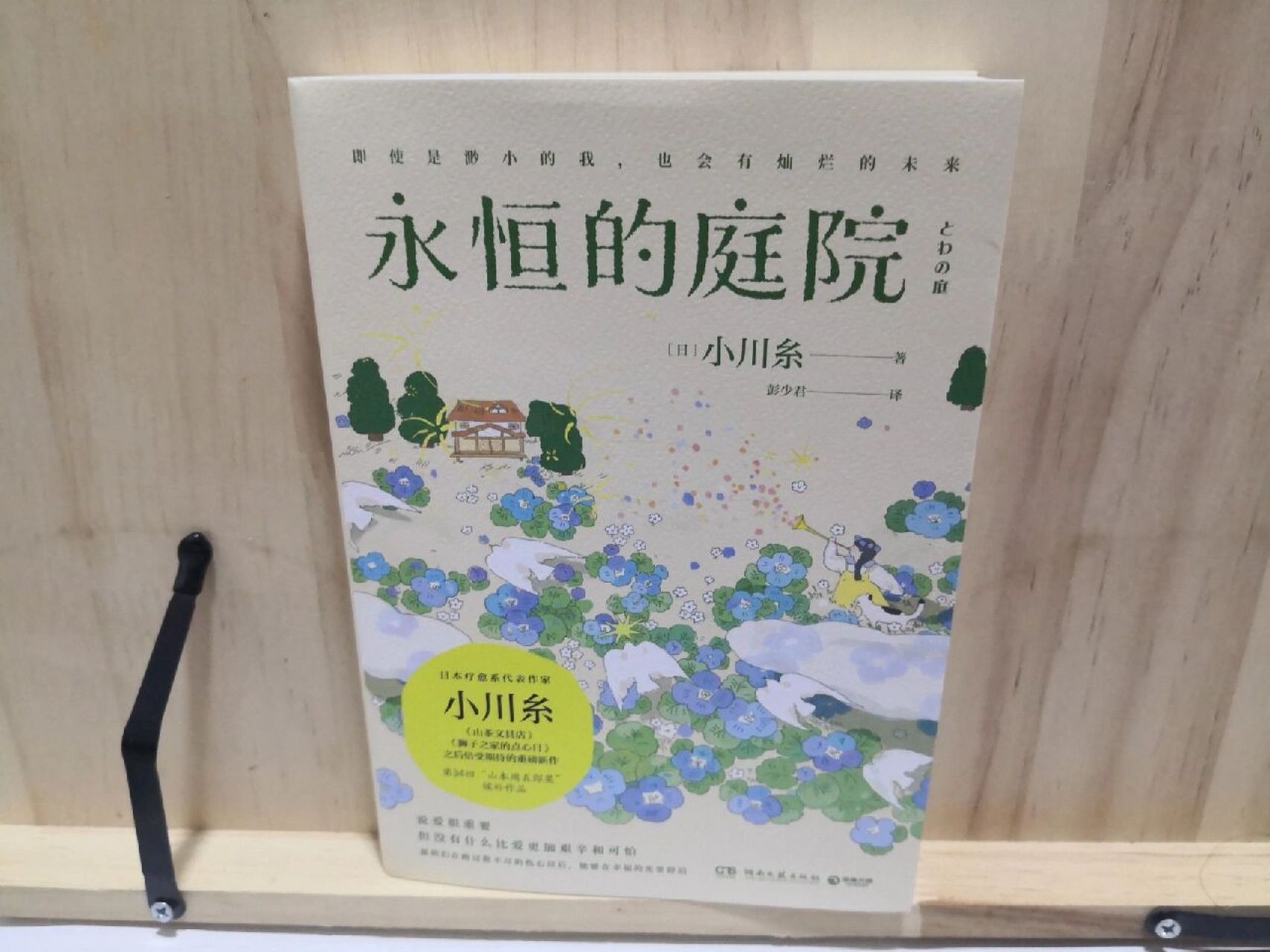 在治愈这件事上,你真的可以信任小川糸 《永恒的庭院》特别清新而美满