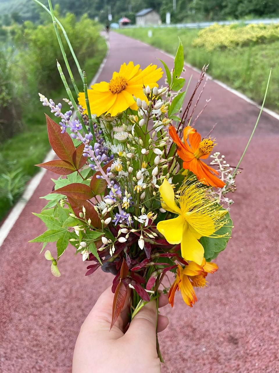 田间地头触手可得的野花野草做一束漂亮花束