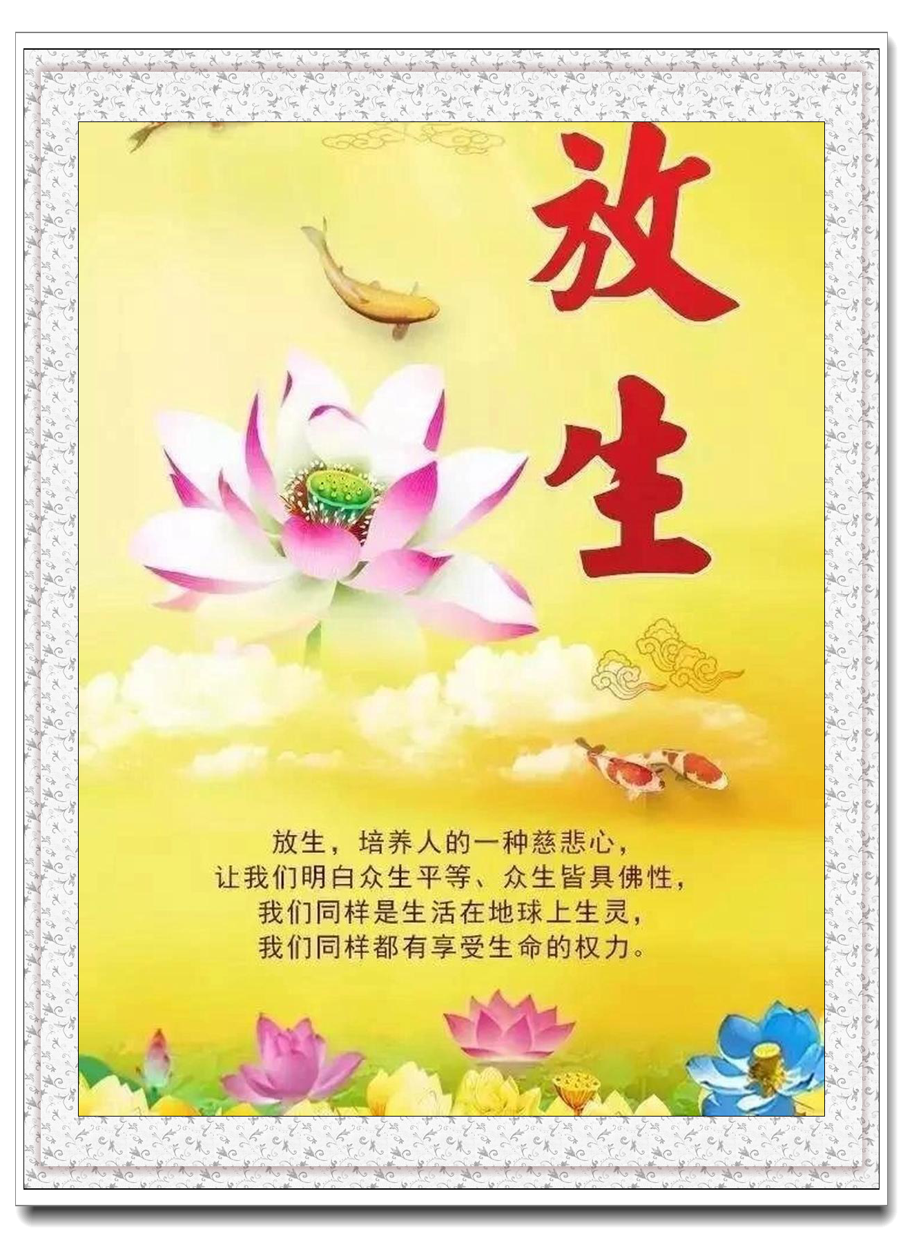 不仅如此,放生还是一种爱护生命,尊重自然的表现.