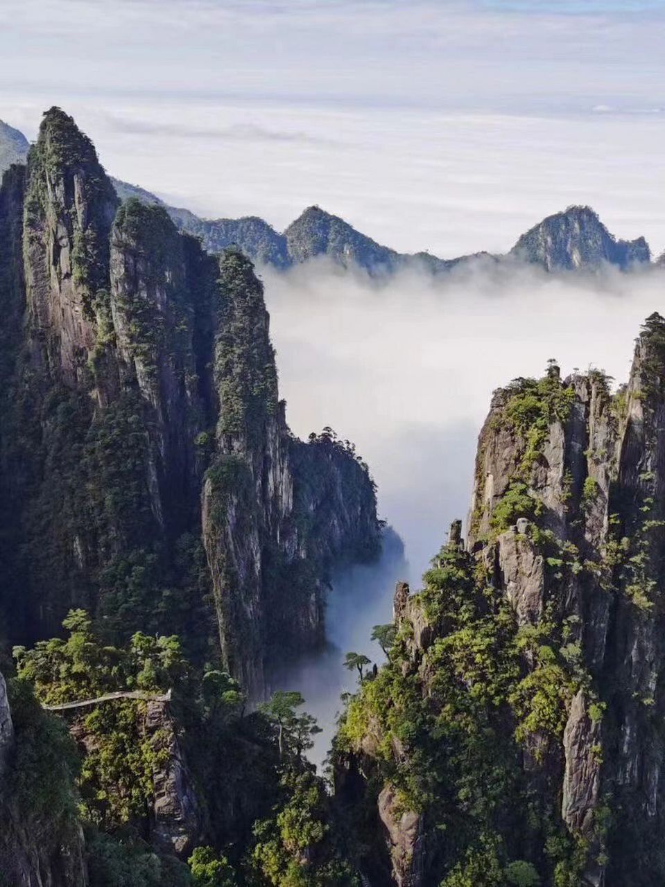 湖南郴州莽山五指峰云海,美不美你说了算 一山跨两省 湘粤在莽山 72