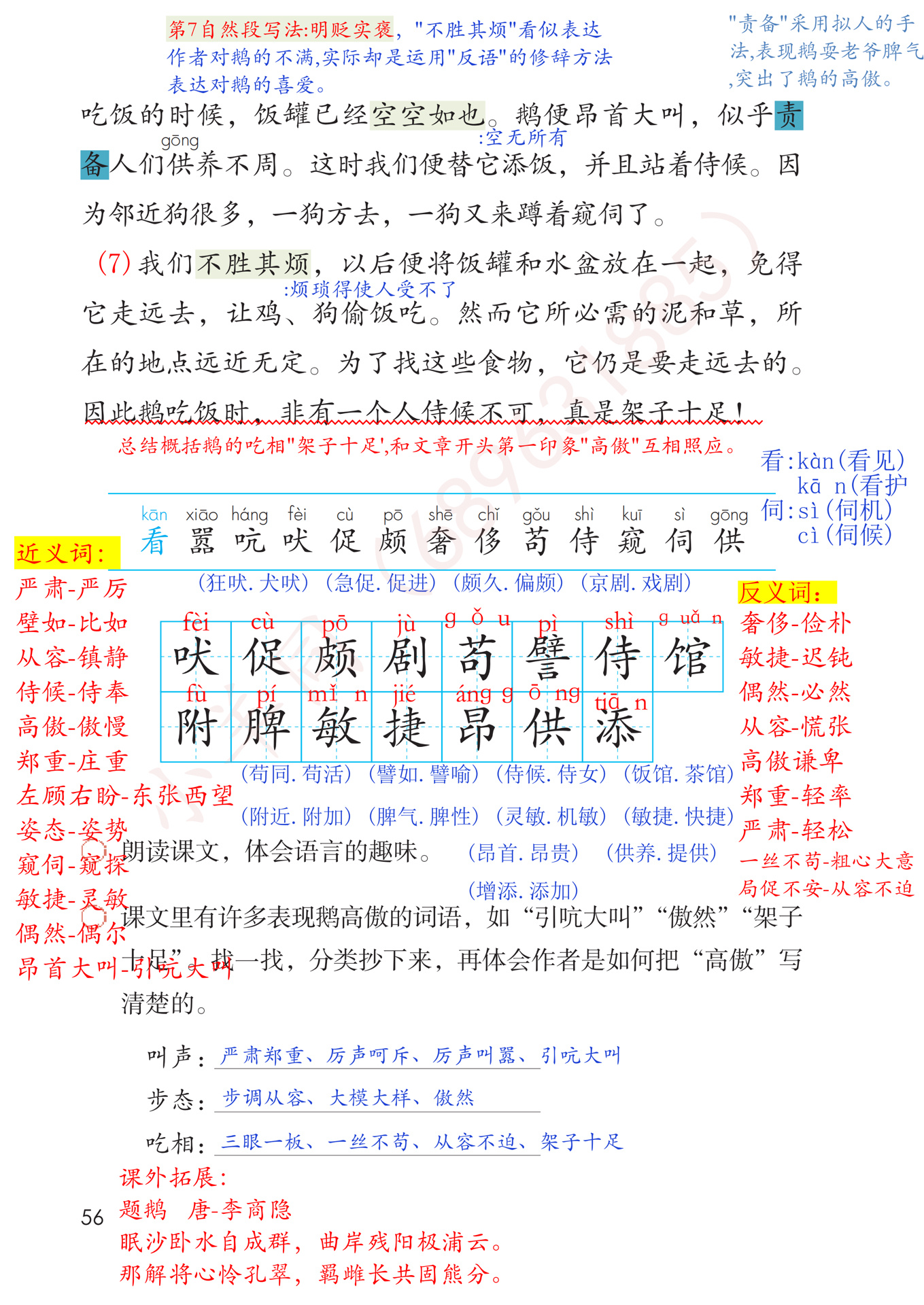 四年级下册9215课《白鹅》笔记