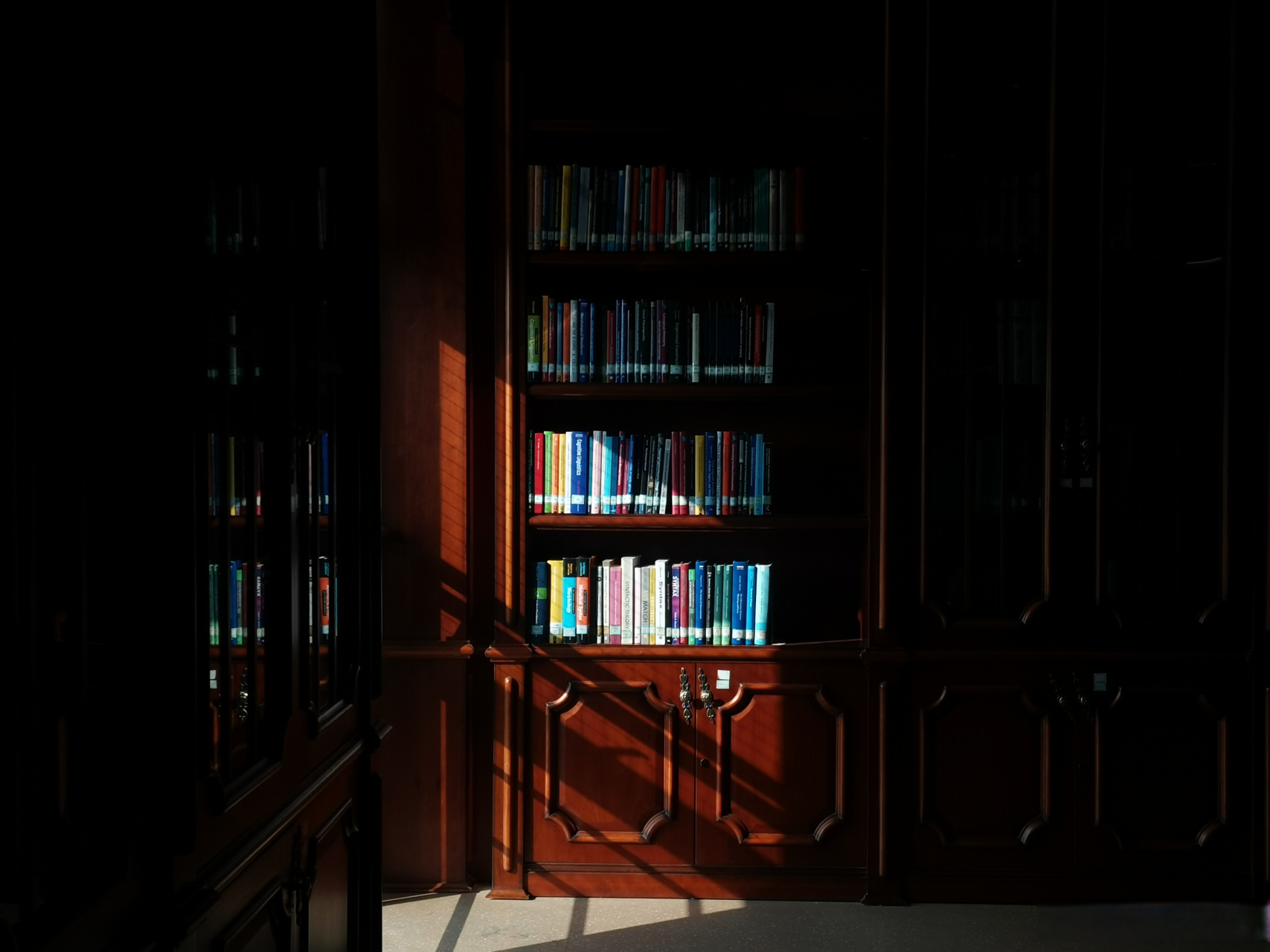 晚安,十一月见[月亮] [照相机]:杜厦图书馆外文区