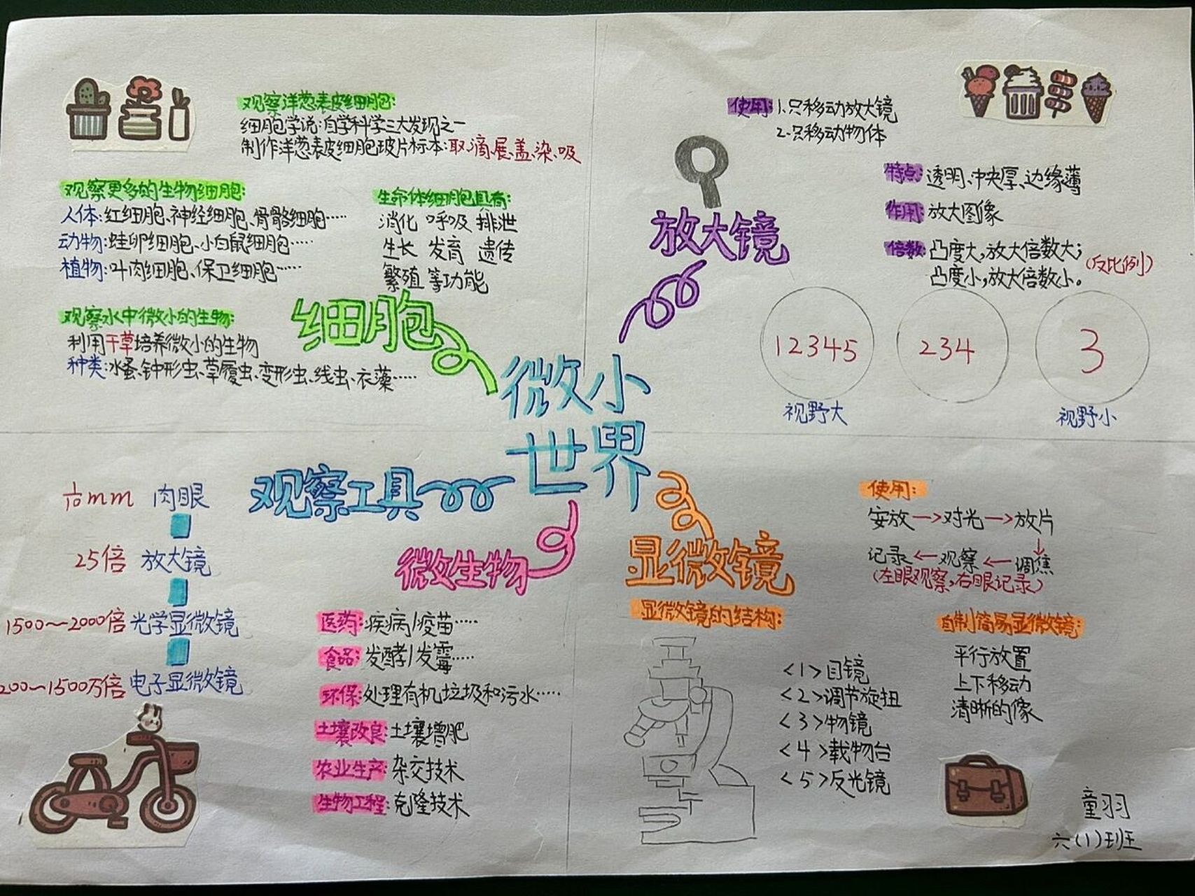 六上《微小世界》思维导图 六年级的学生比预想的要厉害91思维导图