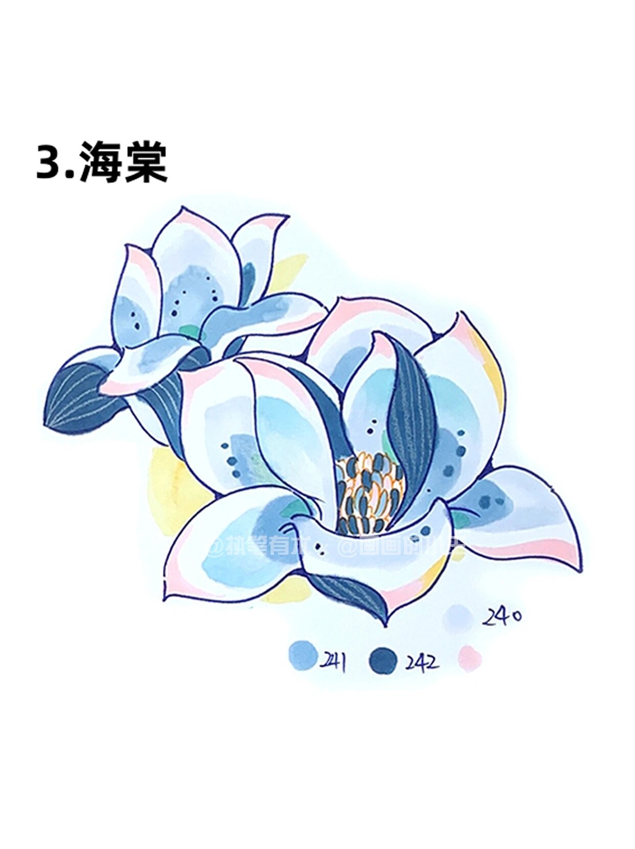 视觉传达马克笔手绘|万能花卉合集(色号)