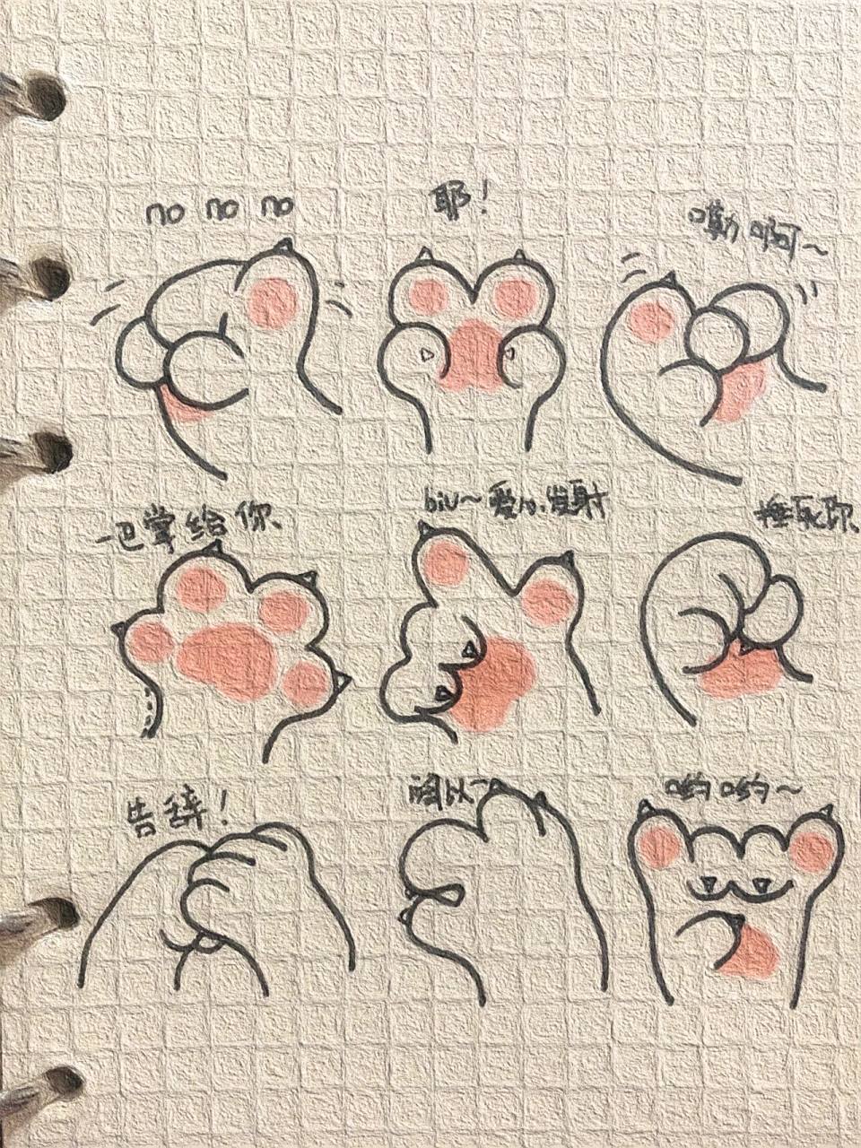 可爱简笔画分享(332)|小猫爪| 可爱简笔画教程分享(附过程)