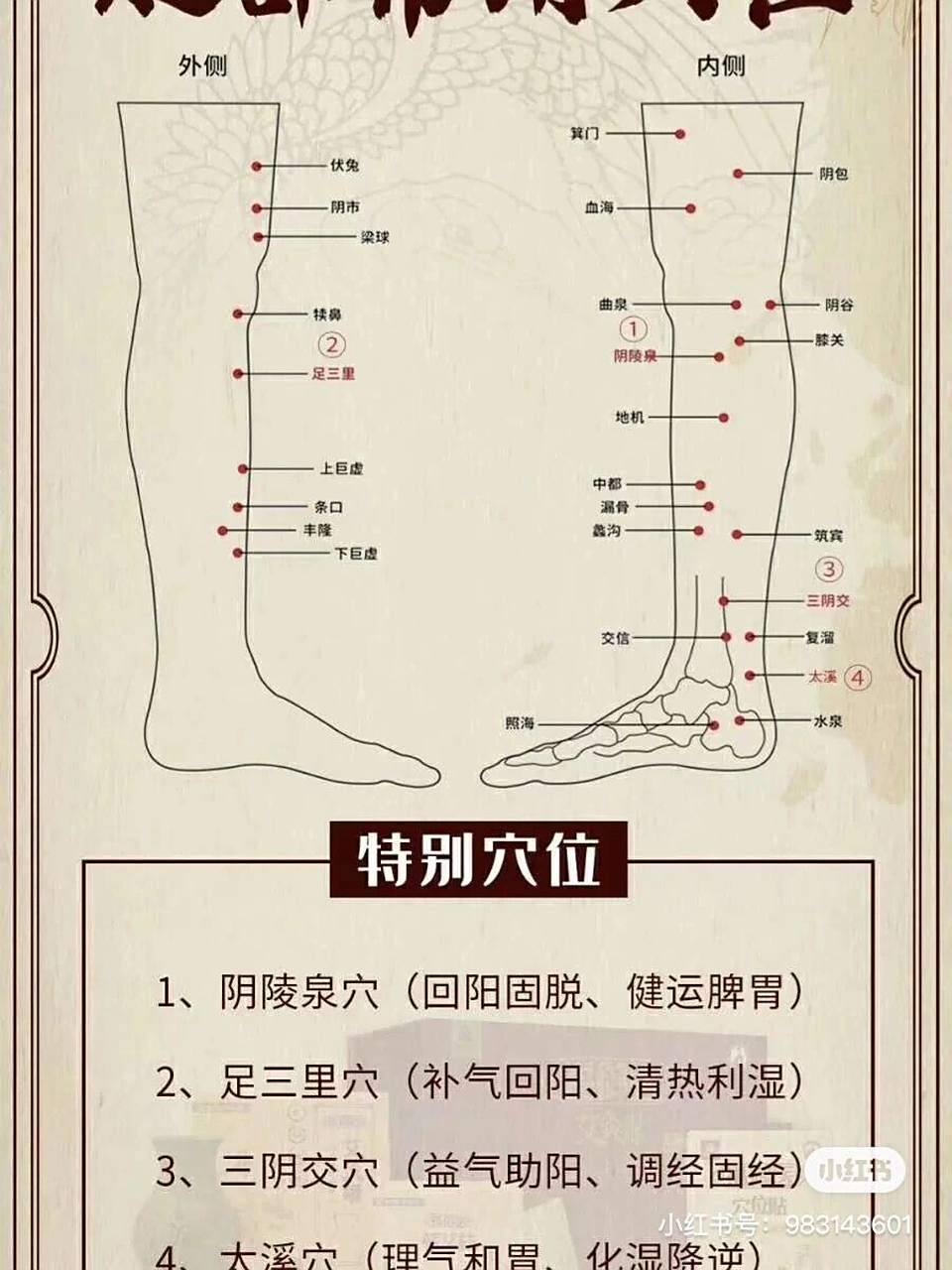 腿部 足部 常用养生穴位图 【养生知识搬运工】搜罗全网 感兴趣的养生