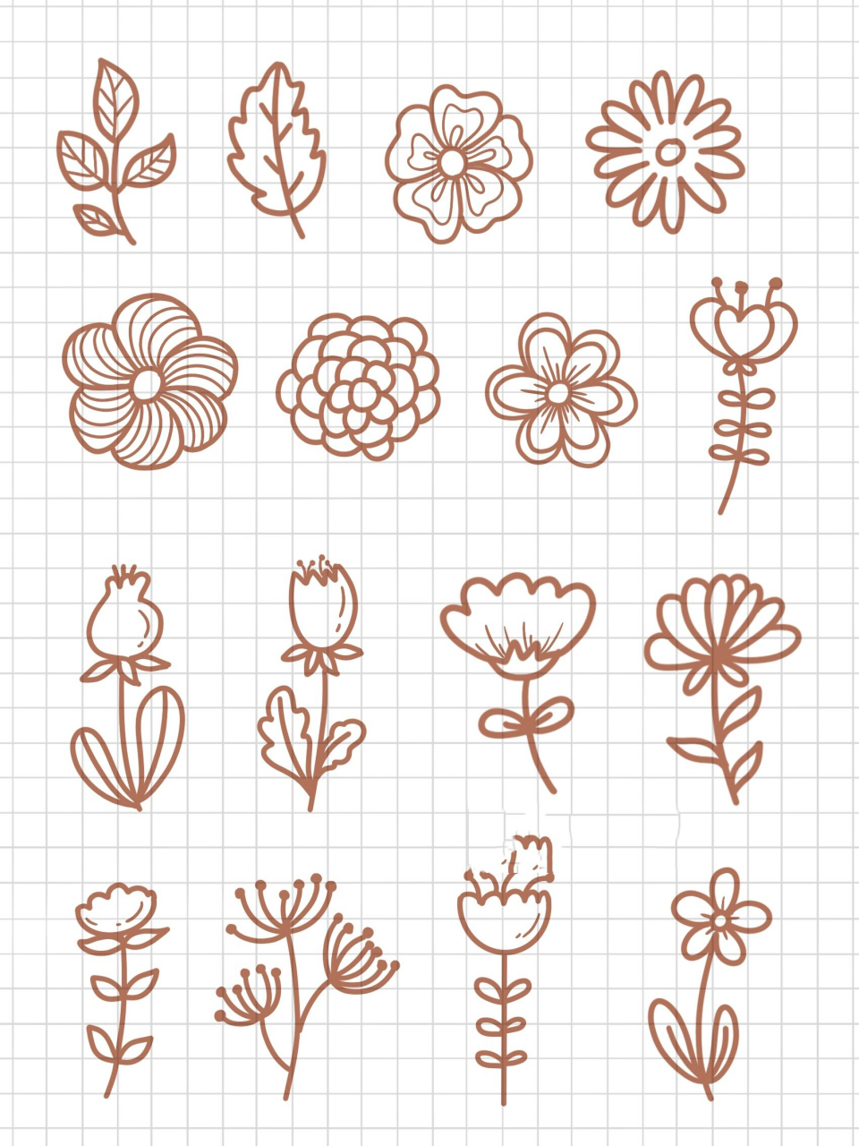 简笔画|春天花花草草植物手帐小素材基础 简单易学 每天画一张无压力