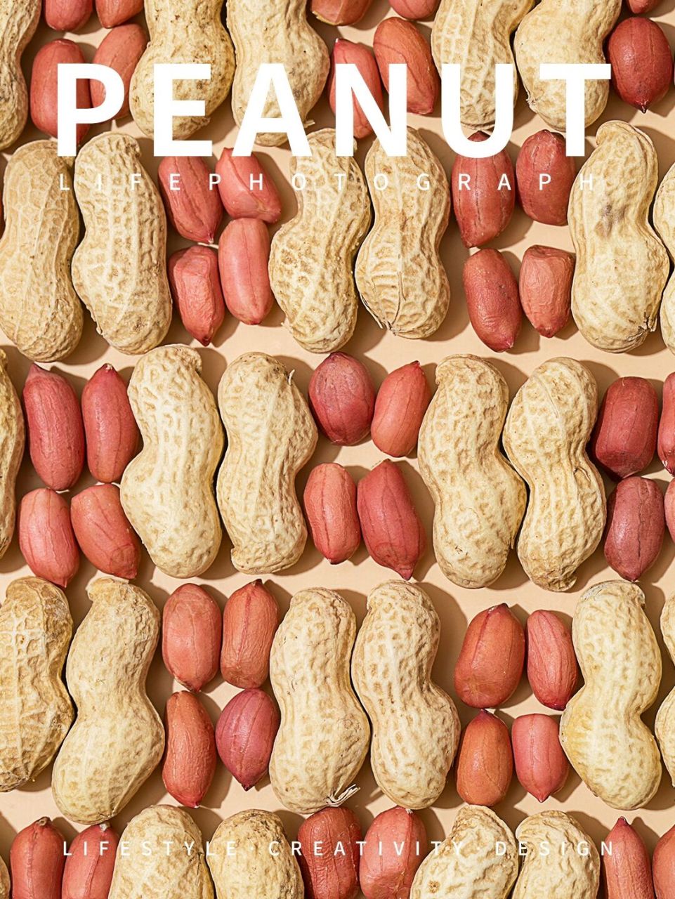 静物摄影|花生创意摄影单灯拍摄布光分享 🥜期待好事花生 — 🥜拍