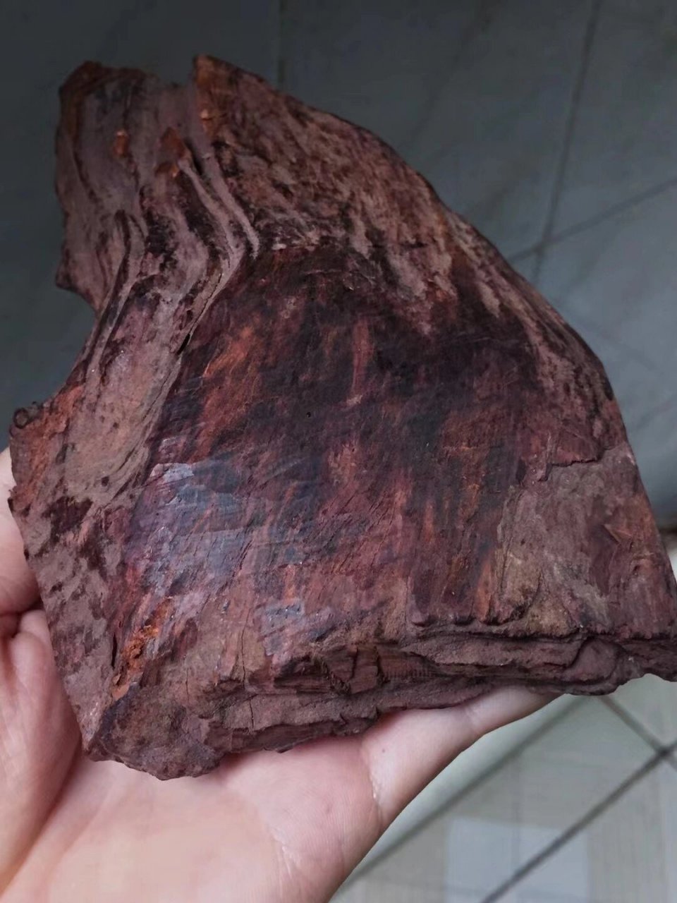 海黄紫油梨老料 料子开了一点小窗 带有点芝麻点纹理 可雕刻竹节知了