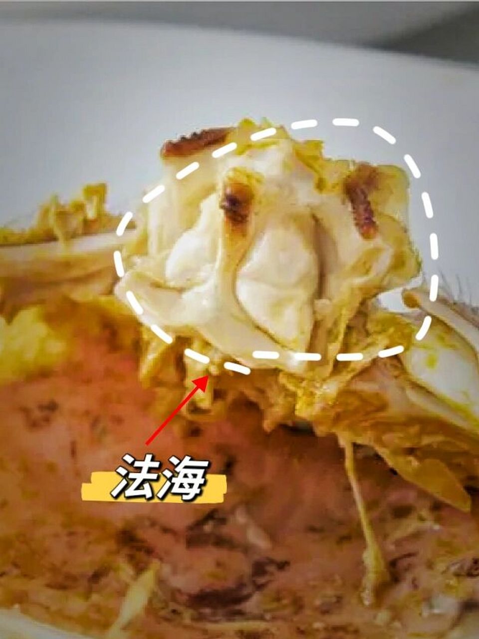 吃螃蟹吃出藏在螃蟹肚里的法海7175 今天听到一个很有意思的说法.