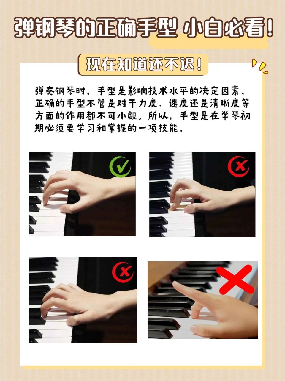 钢琴小白必看|三张图教你认识正确的手势 手型是基础,手型规范才有助