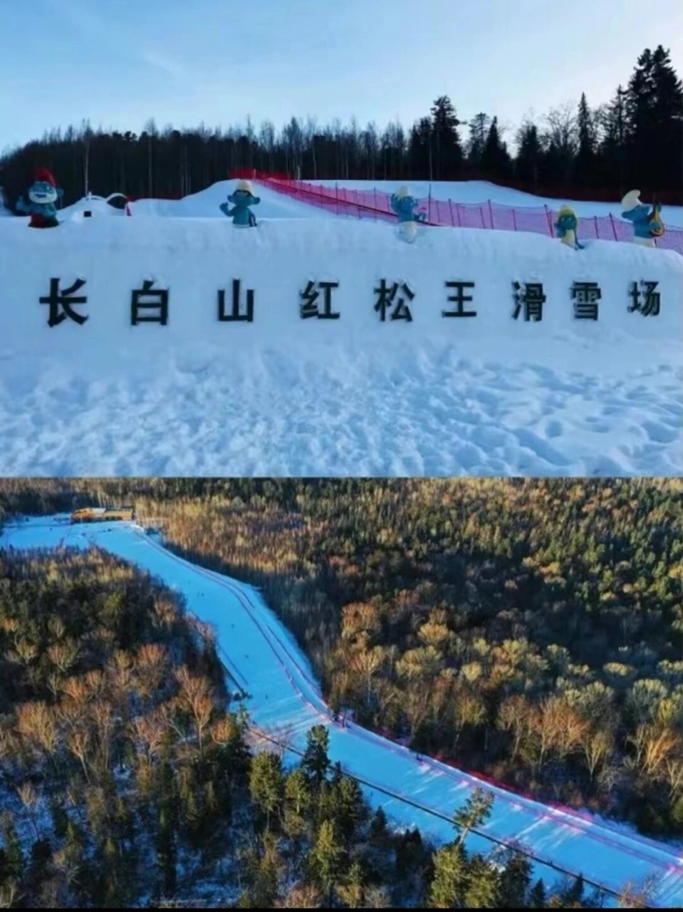 长白山滑雪9299 11 月 12 日,长白山北坡红松王滑雪场开放啦 想