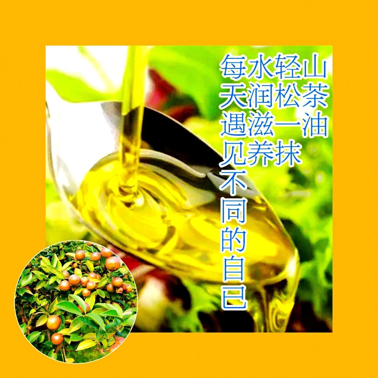 山茶油涂脸正确方法及相关禁忌!