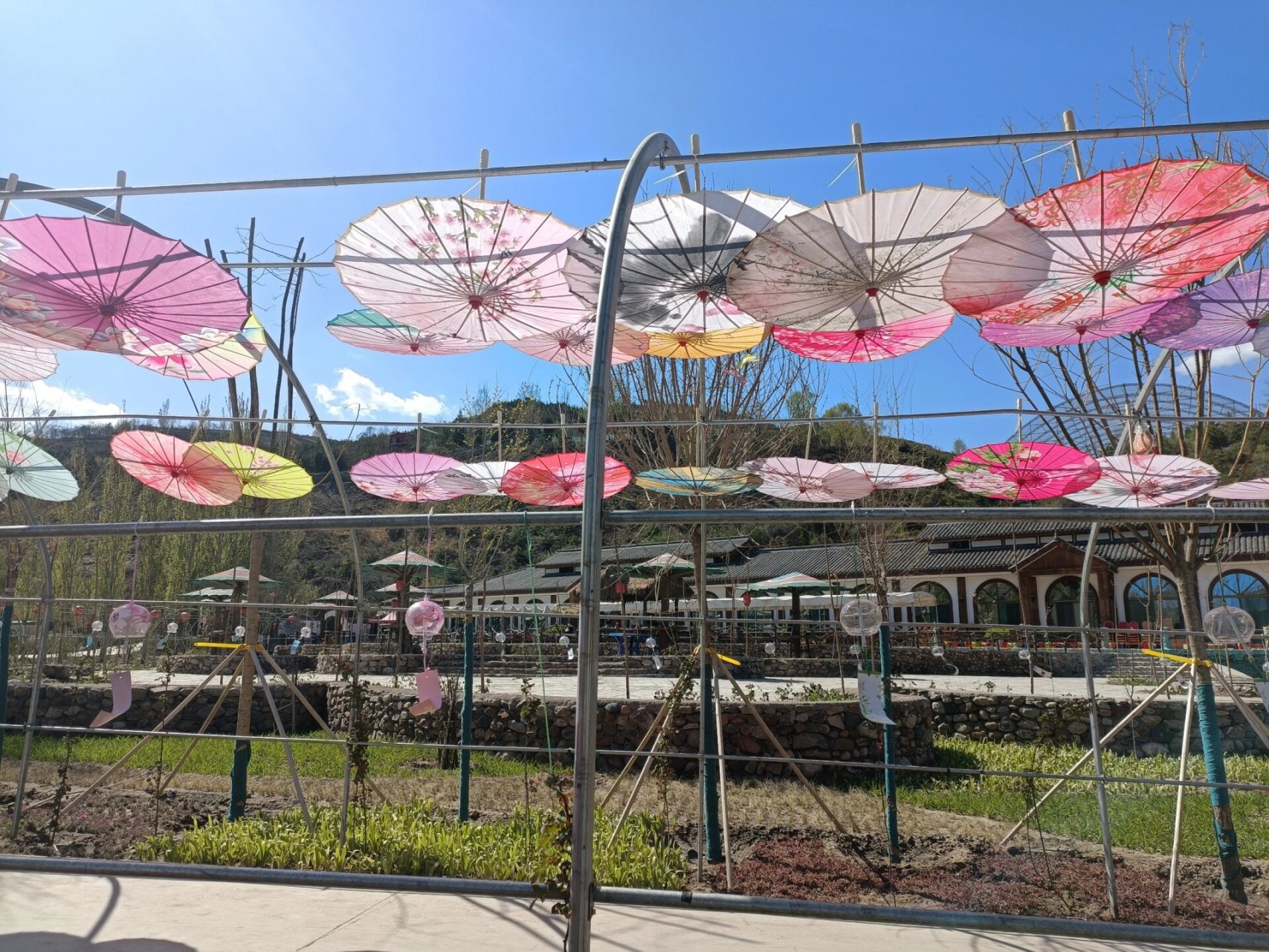 孔雀小镇|凤岛孔雀小镇 孔雀小镇位于太原市娄烦县天池店乡顺道村.