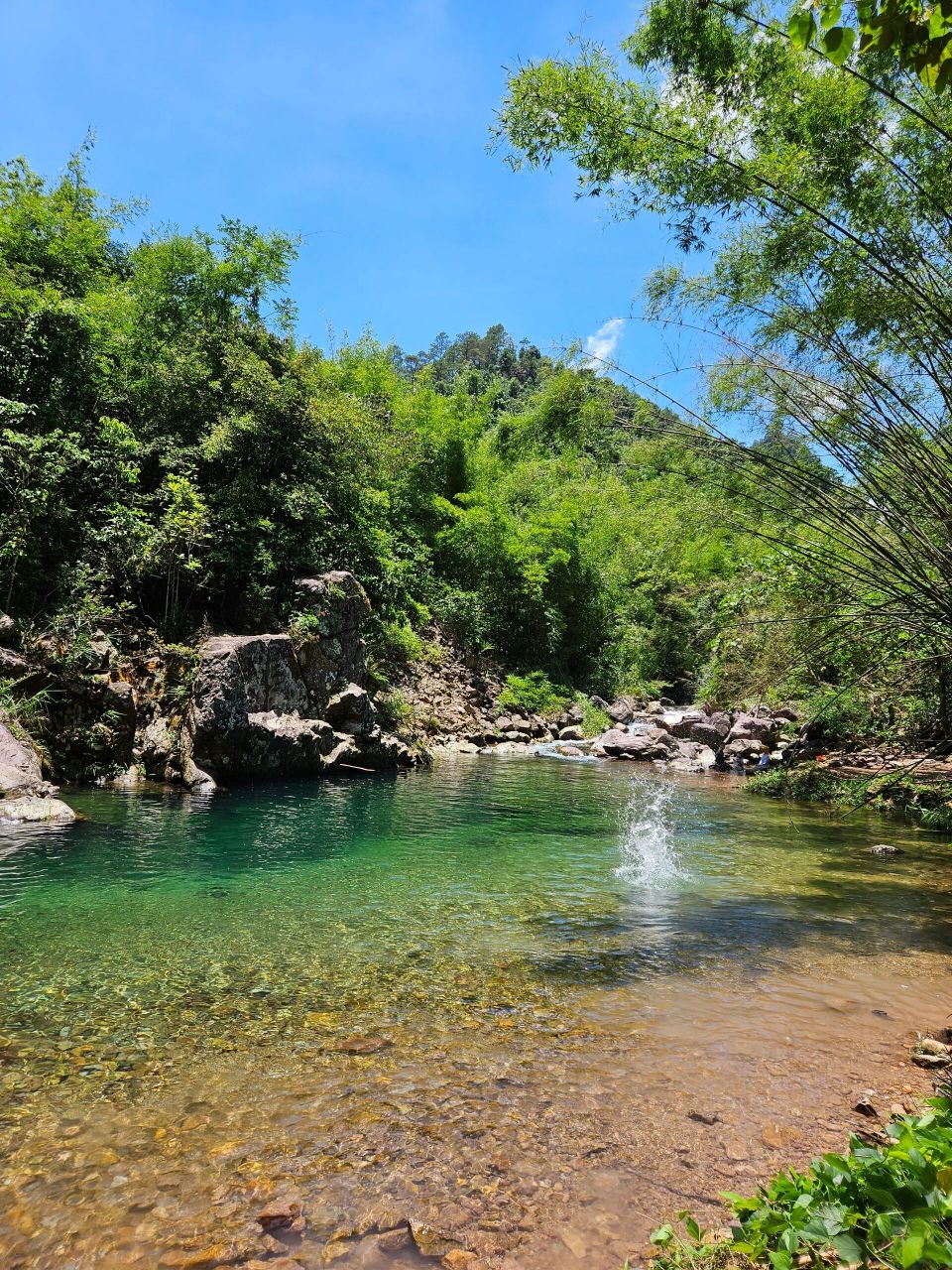 龙潭国家森林公园 上个星期自驾出行,南宁～桂平 2个半小时左右 门票