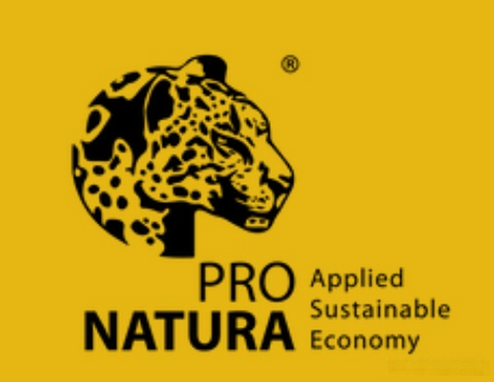 巴西pro natura与"共享价值平台方法"| 拉丁美洲可持续发展前沿(la