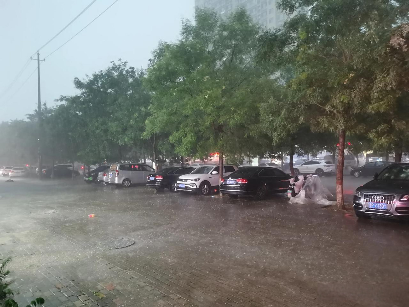 天气聊城天气今日情况 天气聊城天气今日情况