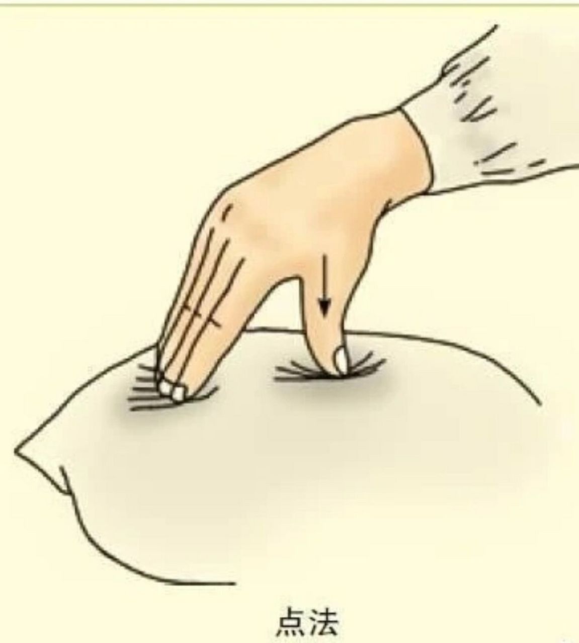 常见按摩手法10——点法. 以指端着力,持续按压穴位,也可瞬间用力.