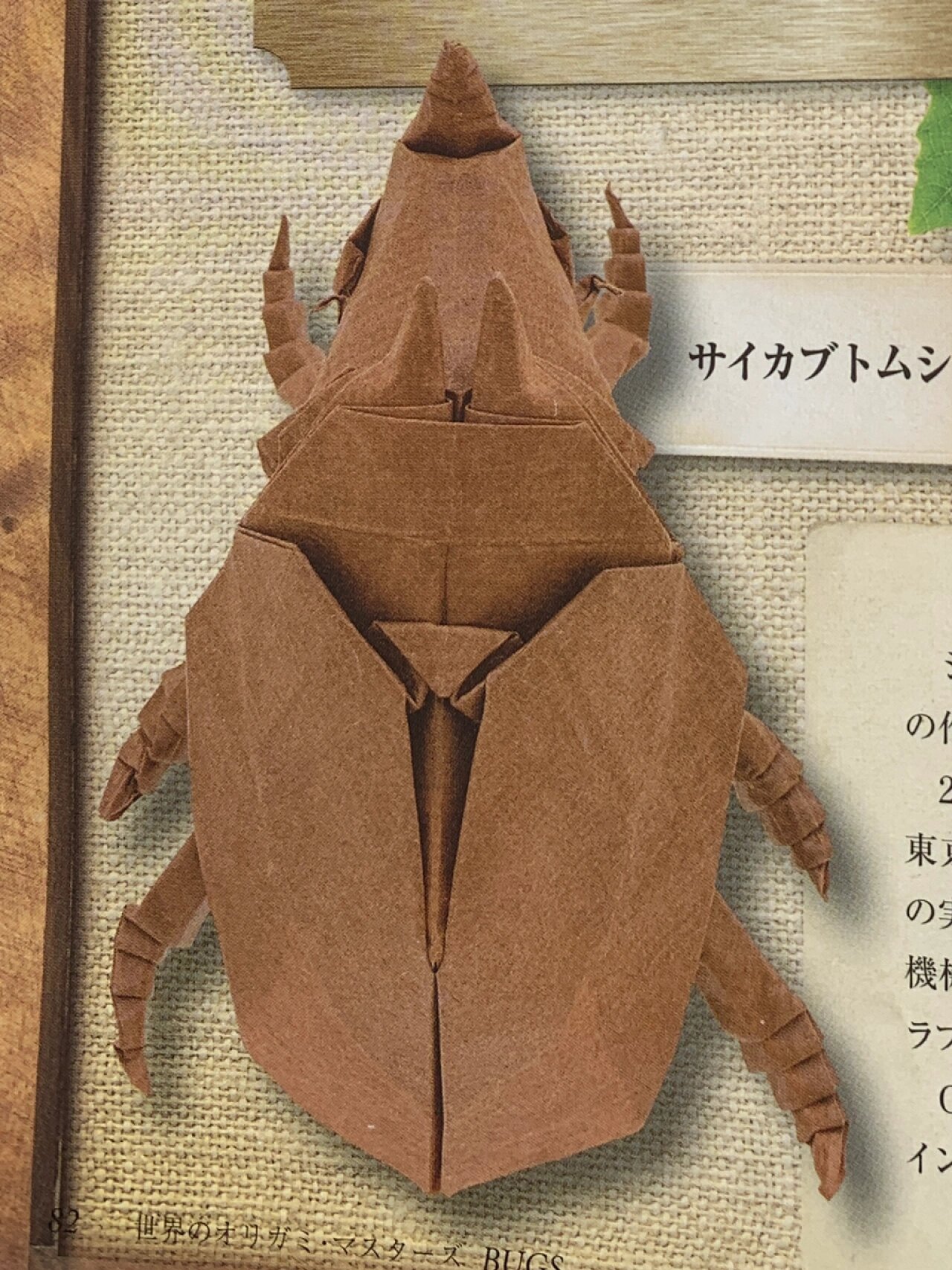 折纸作品教程分享|犀角金龟 折纸作品教程分享|犀角金龟 原创者:jason