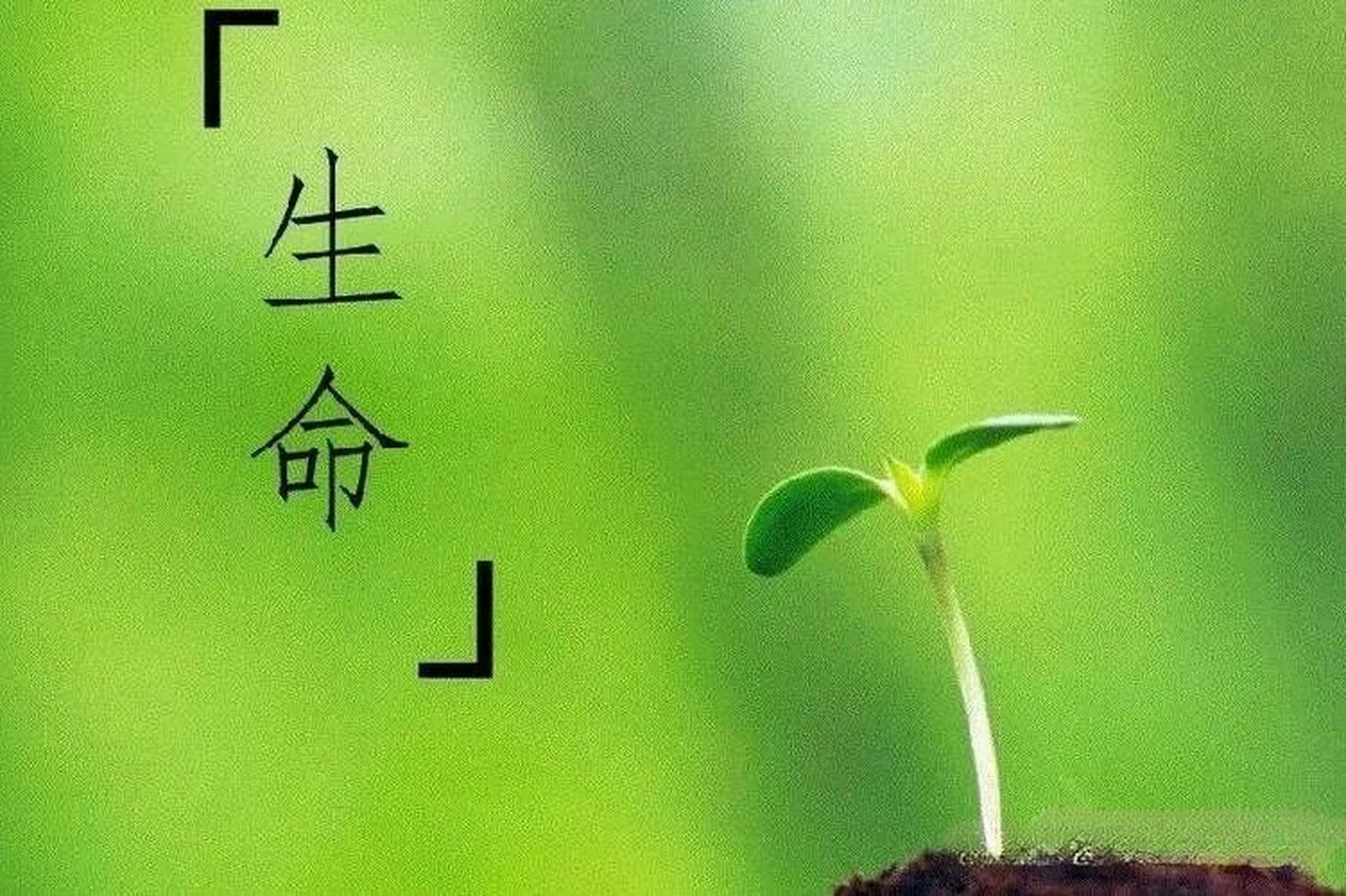 《生命》—泰戈尔 我不愿诀别这美好的人世, 我愿活在普天下黎民之中.