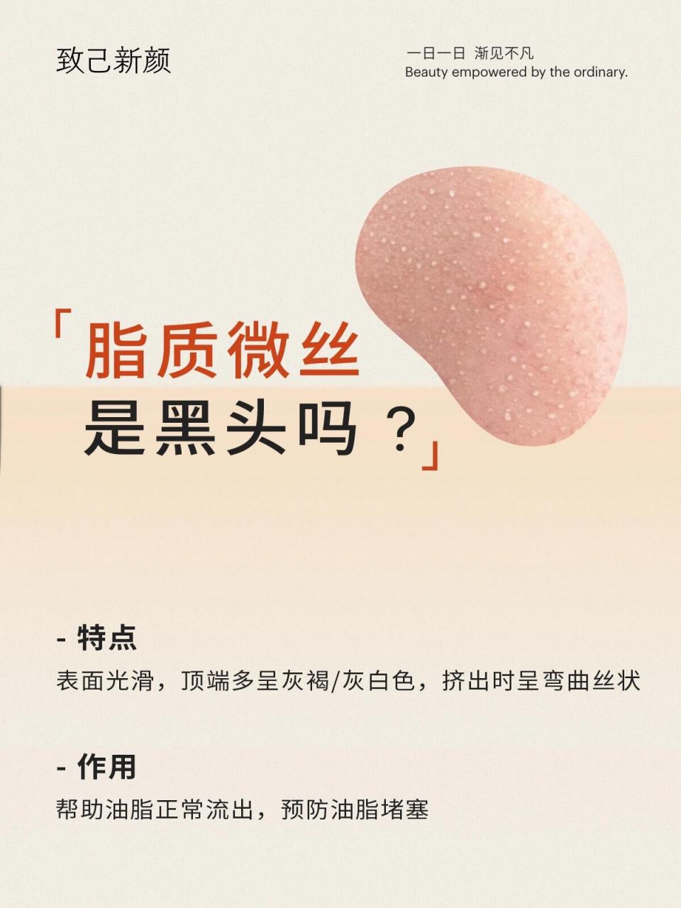 和黑头很像很像的「脂质微丝」 了解清楚小黑洞的