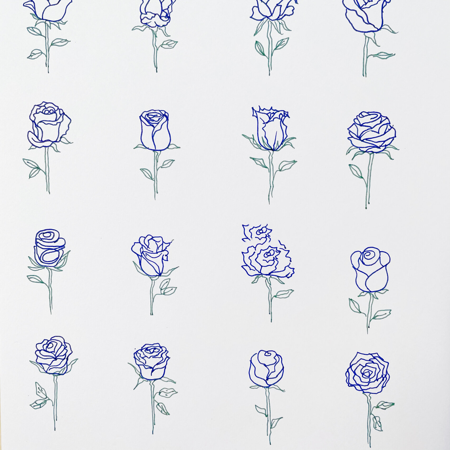 「玫瑰」手绘 蓝玫瑰花语:独一无二 配色:普鲁士蓝 橄榄绿(蓝色有点不