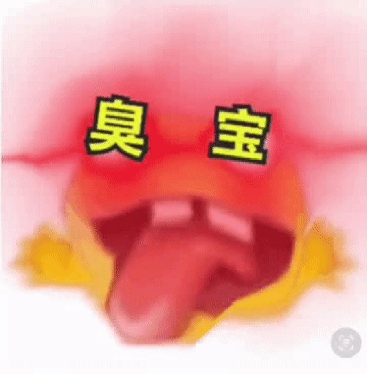 抖音最火的表情包 真的绝了哈哈哈哈哈