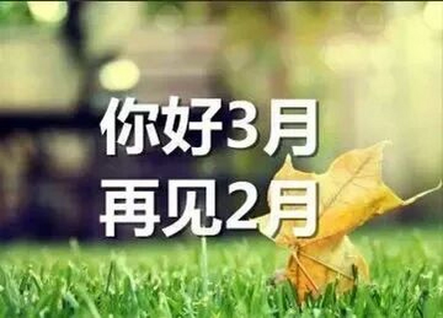 保定天气图片